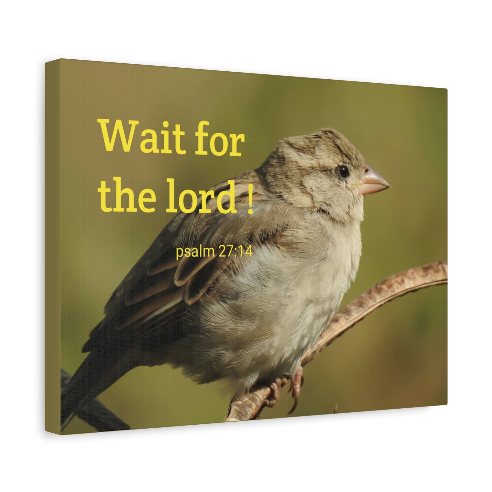 Scripture Walls Wait For The Lord Psalm 27:14 Bible Verse Canvas Christian Wall Art Ready to Hang-Express Your Love Gifts