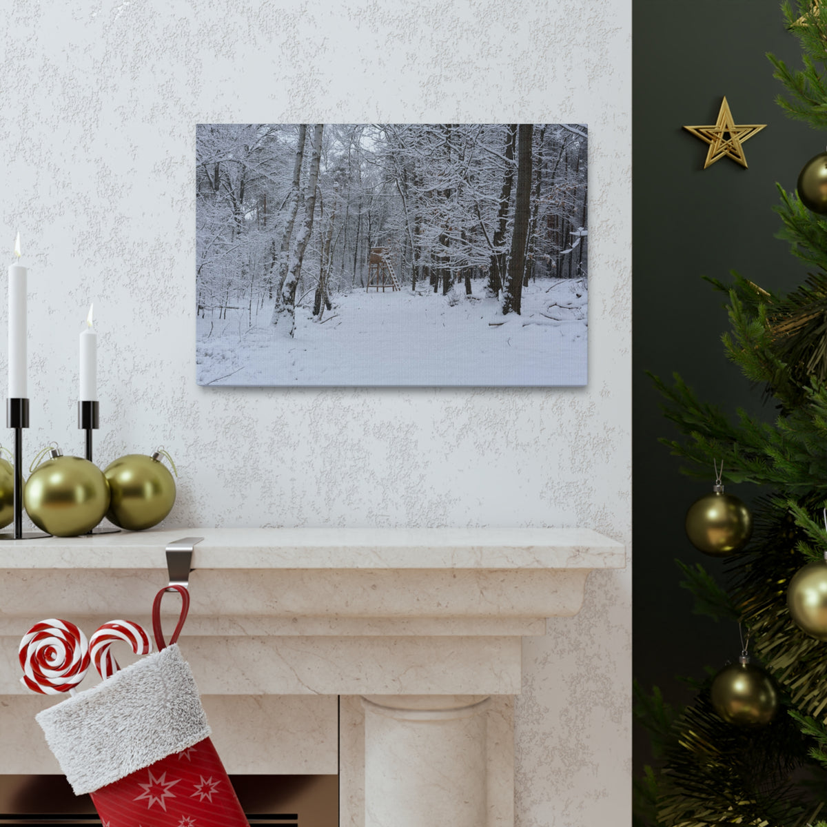 Forest Winter Tree Snow Nature Wilderness Photography Canvas Wall Art for Home Decor Ready-to-Hang-Express Your Love Gifts