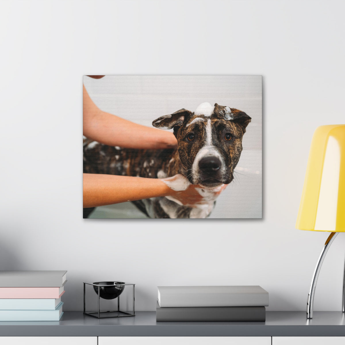 Cute American Staffordshire Terrier Bathee Canvas Wall Art for Home Decor Ready-to-Hang-Express Your Love Gifts