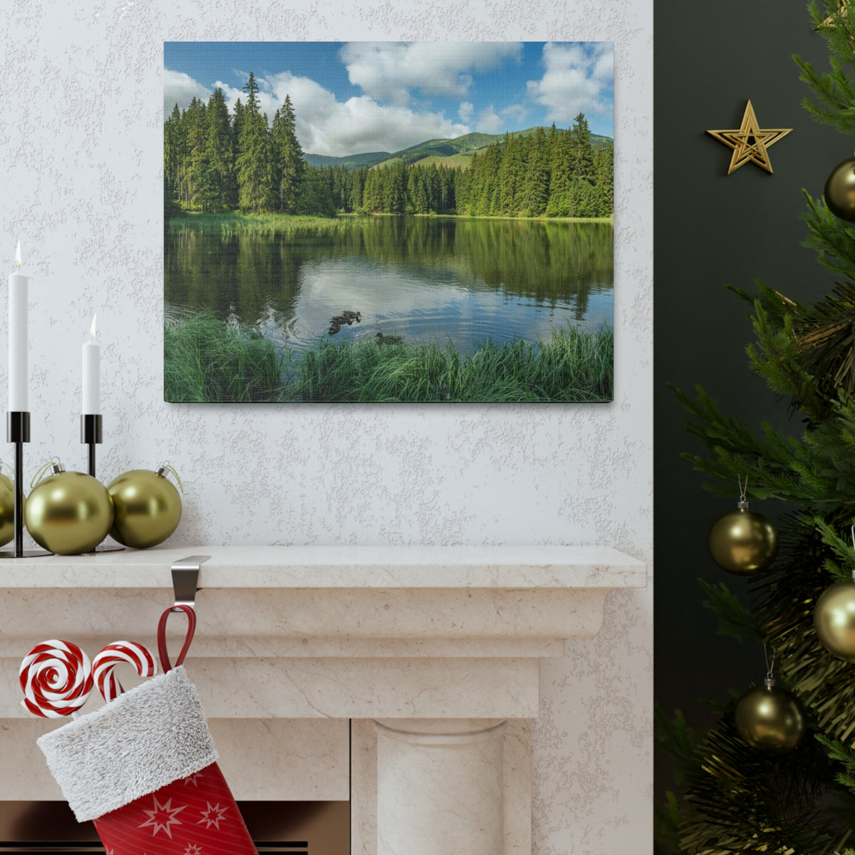 Lake Reflection Green Forest Nature Wilderness Photography Canvas Wall Art for Home Decor Ready-to-Hang-Express Your Love Gifts