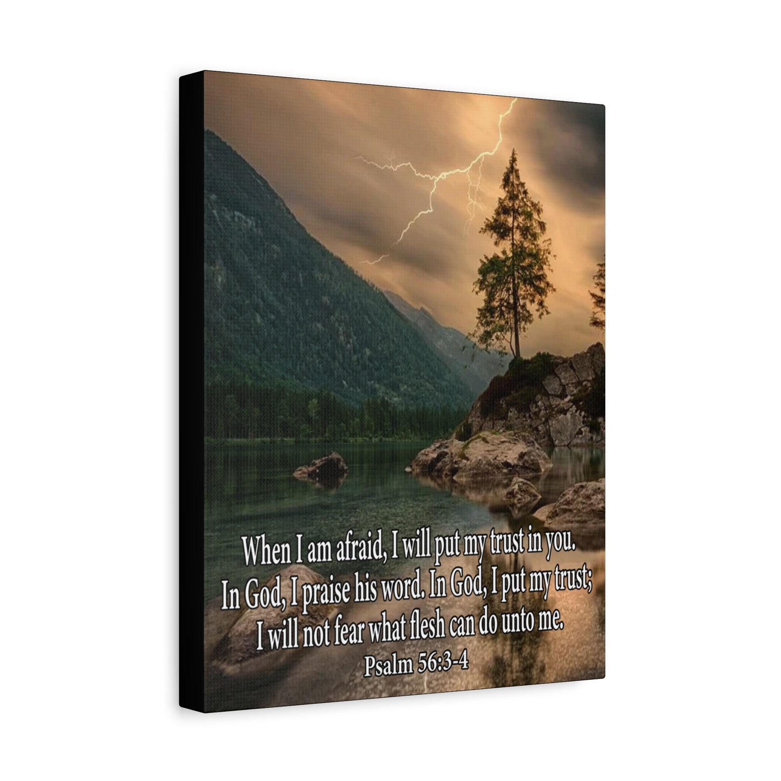 Scripture Canvas I Put My Trust in You Psalm 56:3-4 Christian Wall Art Bible Verse Print Ready to Hang-Express Your Love Gifts