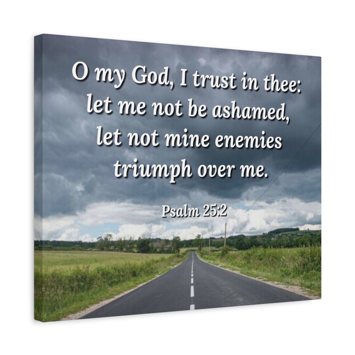 Scripture Canvas Triumph Psalm 25:2 Christian Wall Art Bible Verse Print Ready to Hang-Express Your Love Gifts