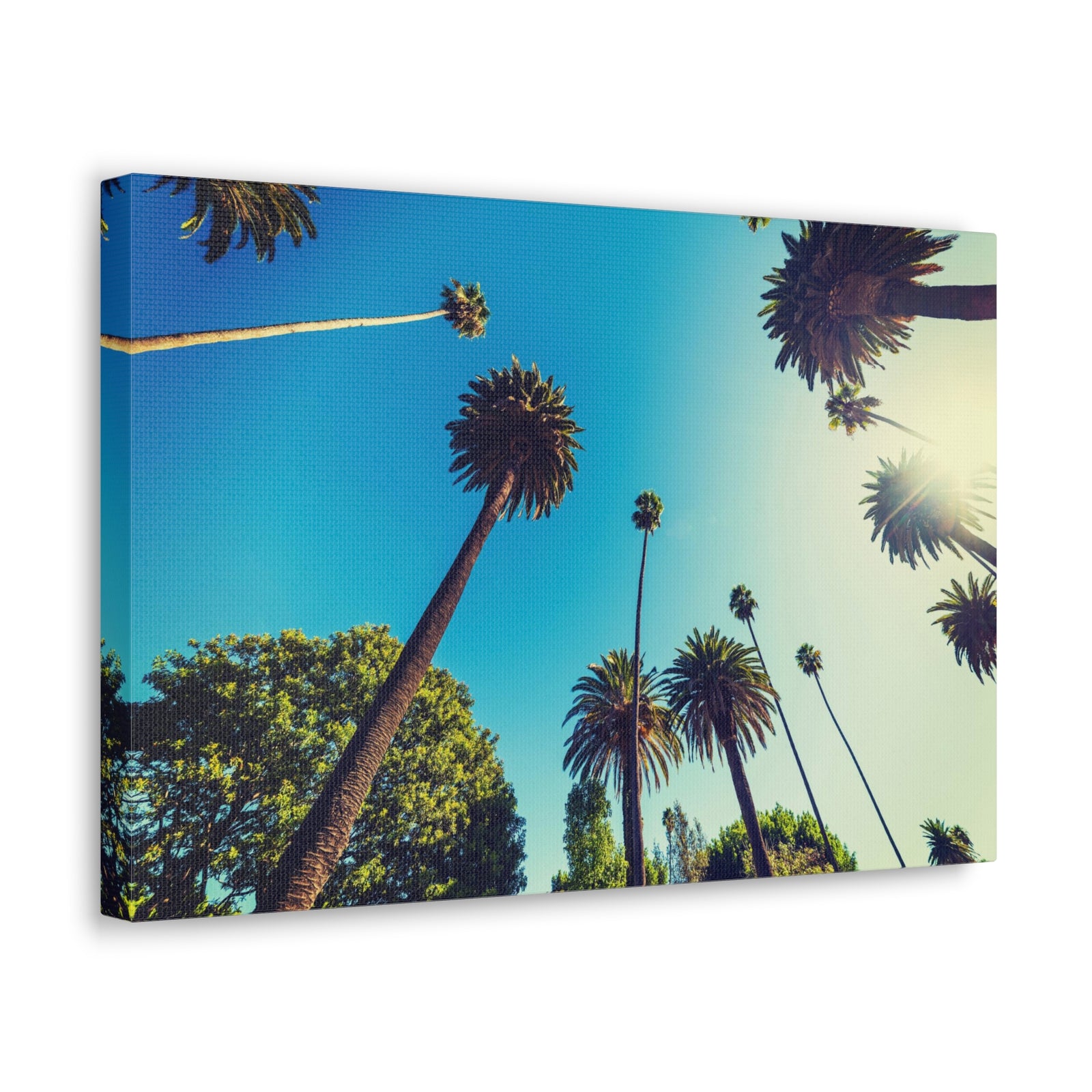 Los Angeles Sky Palm Trees Nature Wilderness Photography Canvas Wall Art for Home Decor Ready-to-Hang-Express Your Love Gifts