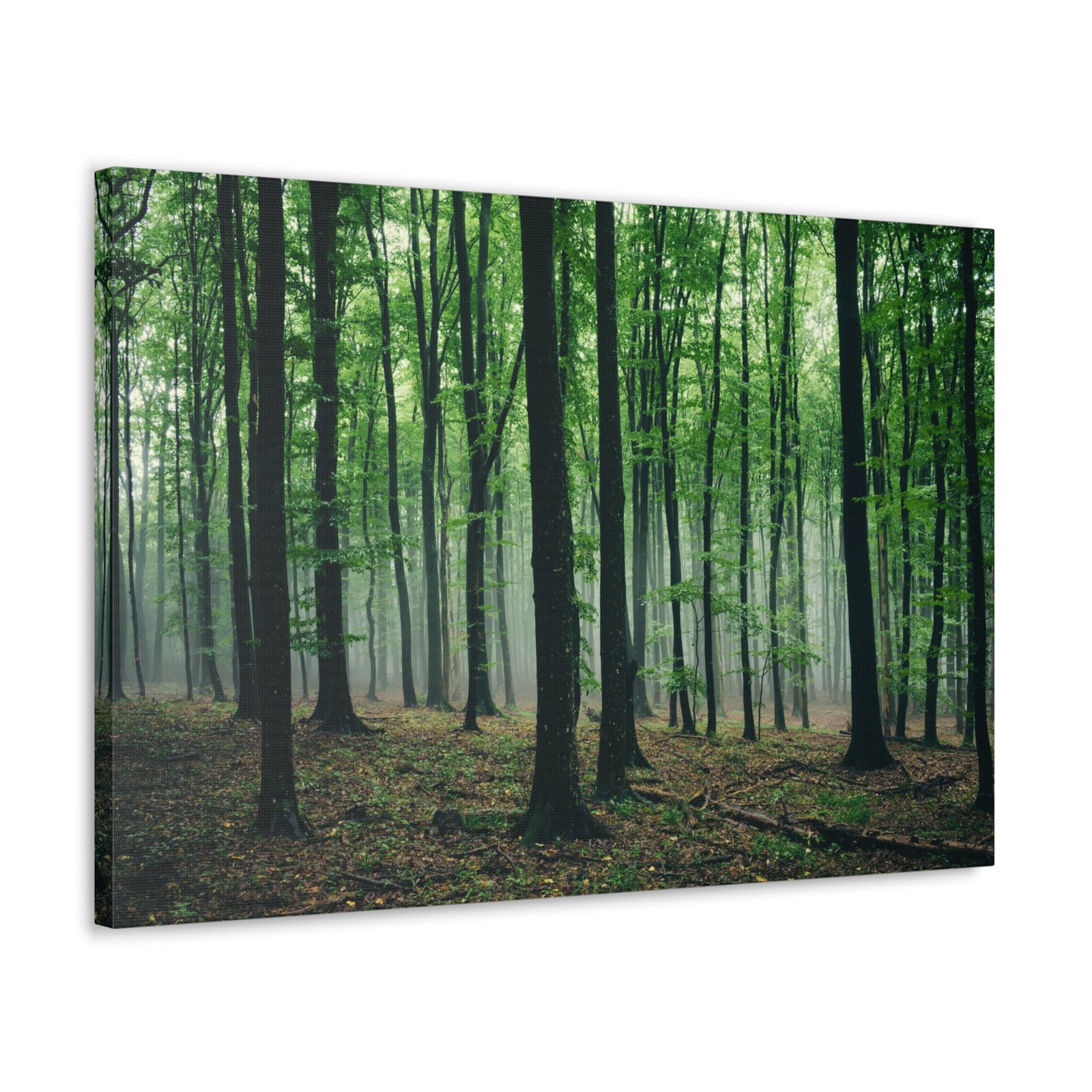 Misty Green Pine Tree Forest Nature Wilderness Photography Canvas Wall Art for Home Decor Ready-to-Hang-Express Your Love Gifts