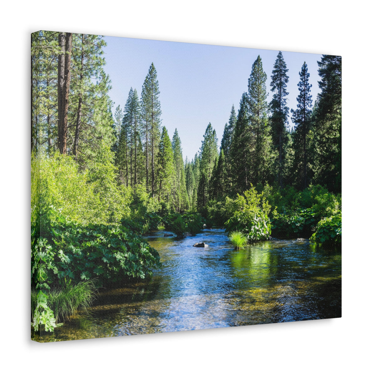 River Through The Green Forest Nature Wilderness Photography Canvas Wall Art for Home Decor Ready-to-Hang-Express Your Love Gifts