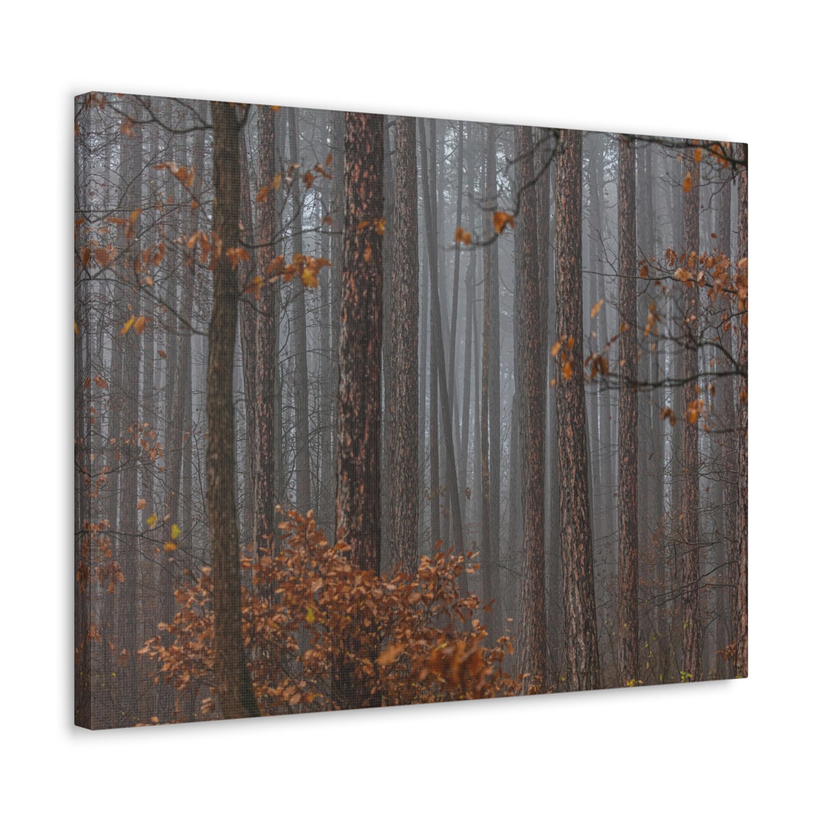 Autumn Forest Misty Orange Leave Nature Wilderness Photography Canvas Wall Art for Home Decor Ready-to-Hang-Express Your Love Gifts