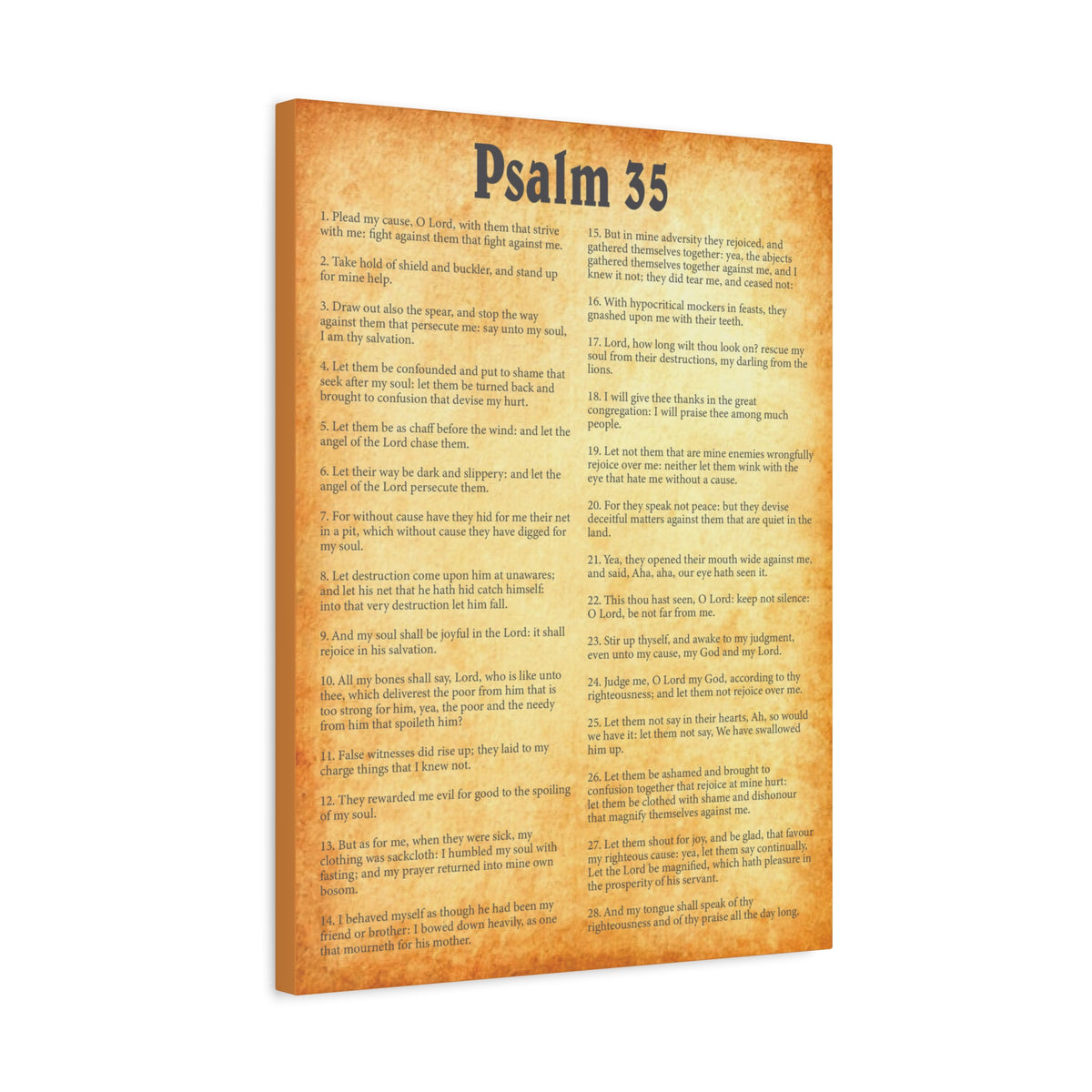 Scripture Walls Psalm 35 Gold Bible Chapter Canvas Christian Wall Art Ready to Hang-Express Your Love Gifts