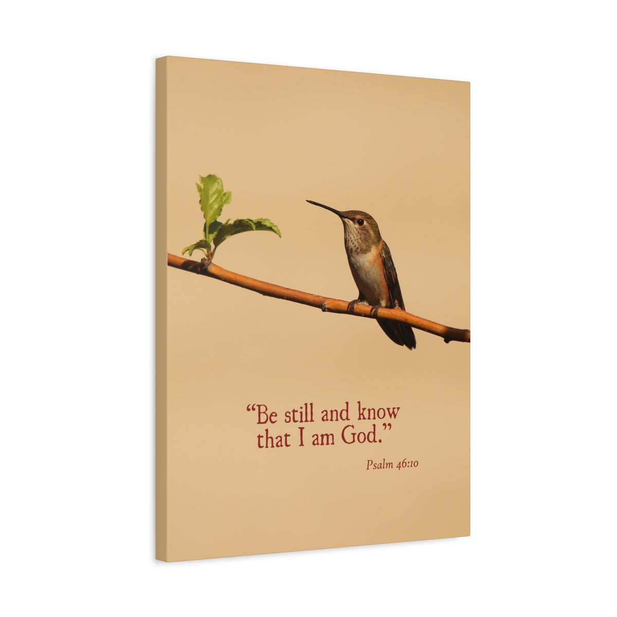 Scripture Walls I Am God Psalm 46:10 Bible Verse Canvas Christian Wall Art Ready to Hang-Express Your Love Gifts