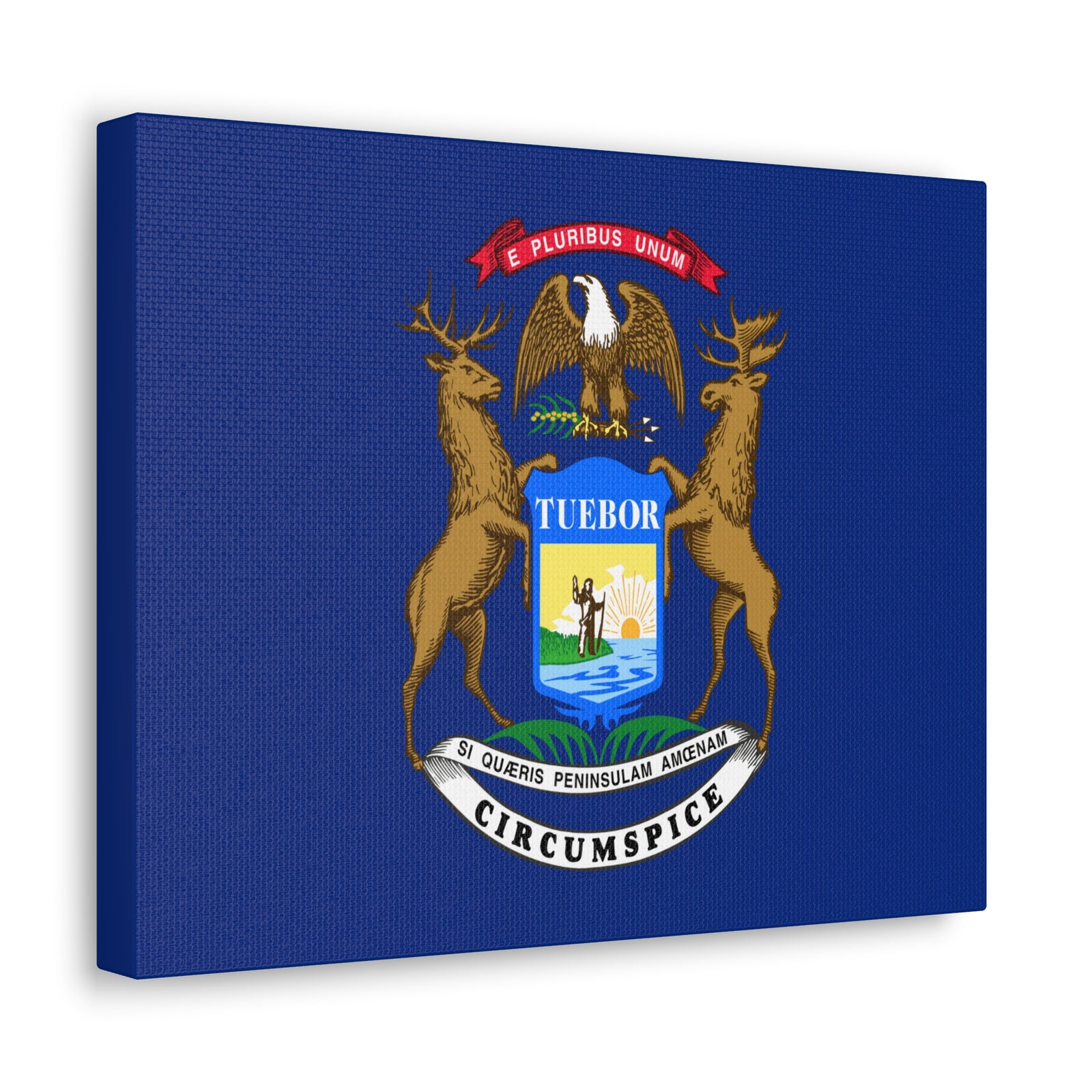 Michigan Stage Flag Canvas Vibrant Wall Art Unframed Home Decor-Express Your Love Gifts