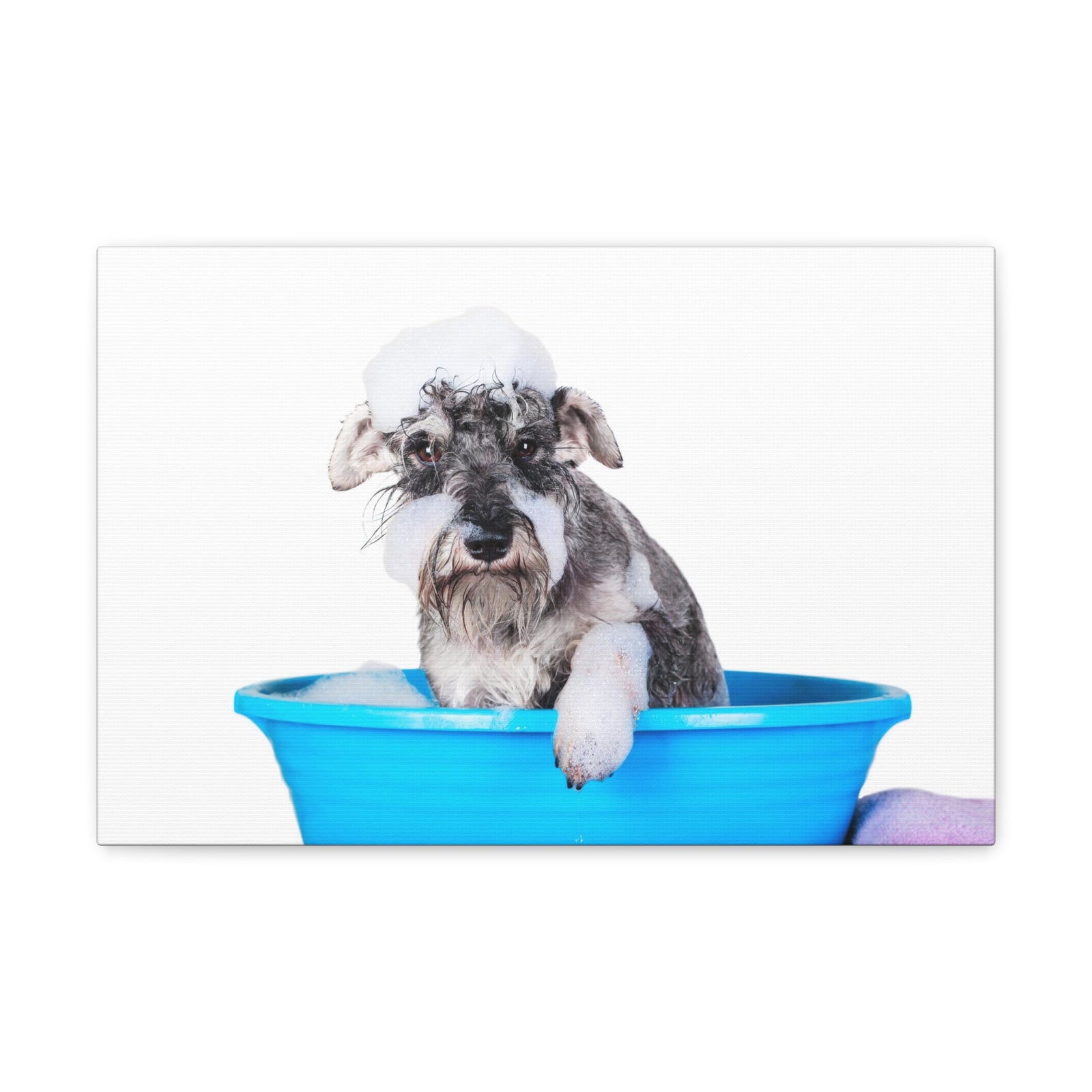 Cute Schnauzer Bath Canvas Wall Art for Home Decor Ready-to-Hang-Express Your Love Gifts
