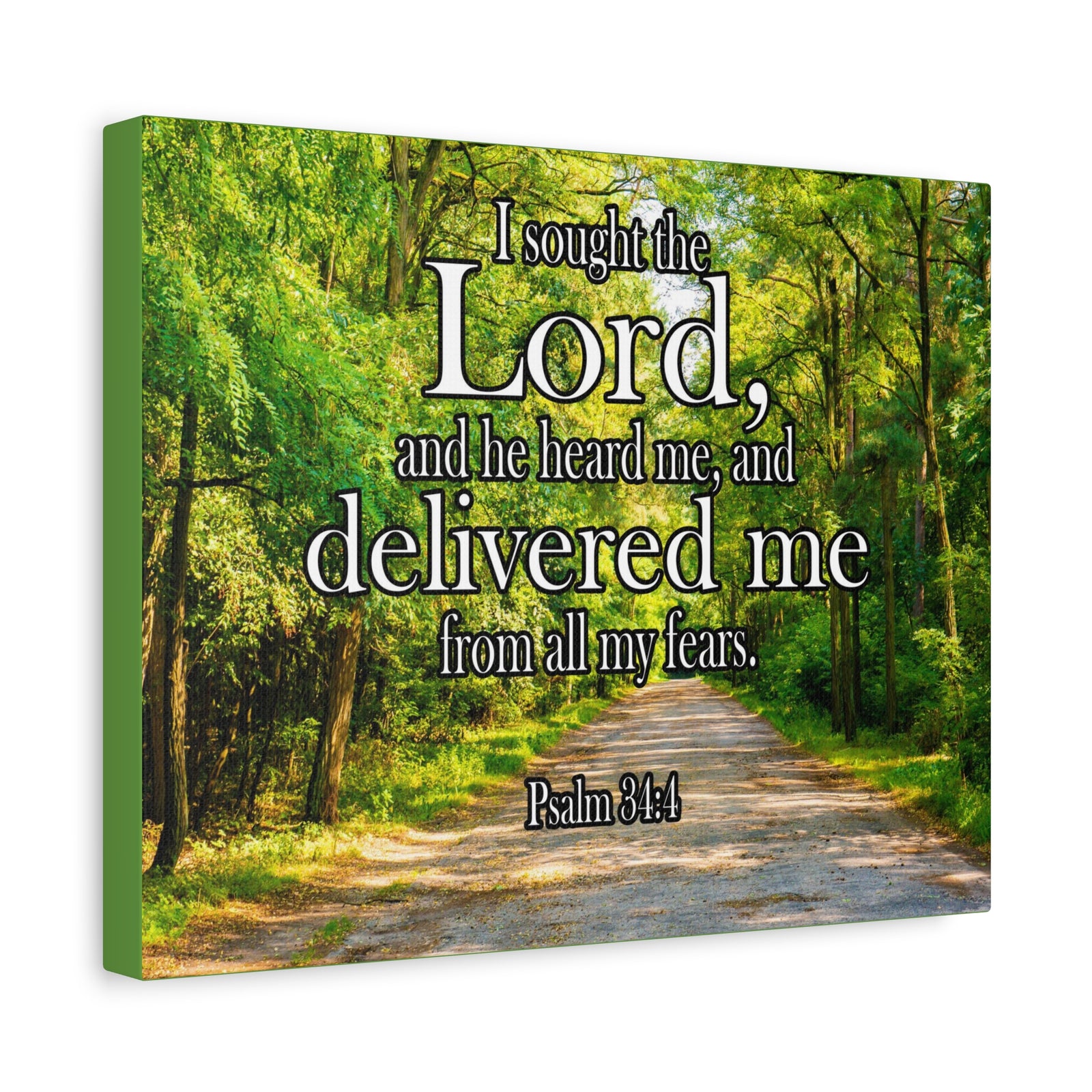 Scripture Canvas Lord Delivered Me Psalm 34:4 Christian Wall Art Bible Verse Print Ready to Hang-Express Your Love Gifts