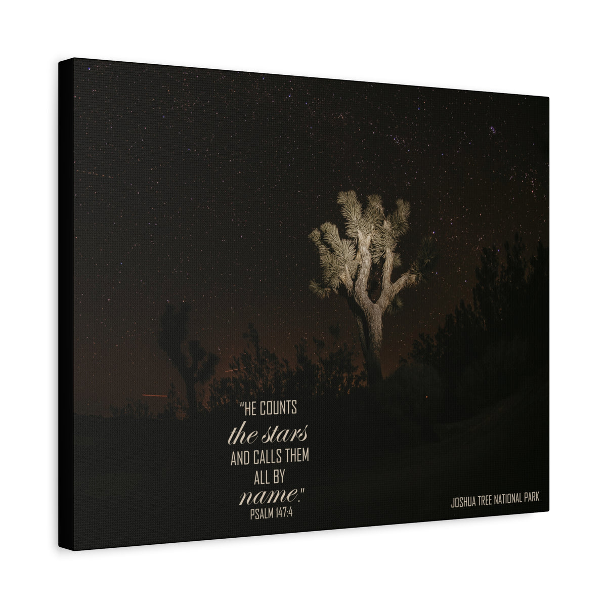 Scripture Walls Counts The Stars Psalm 147:4 Bible Verse Canvas Christian Wall Art Ready to Hang-Express Your Love Gifts