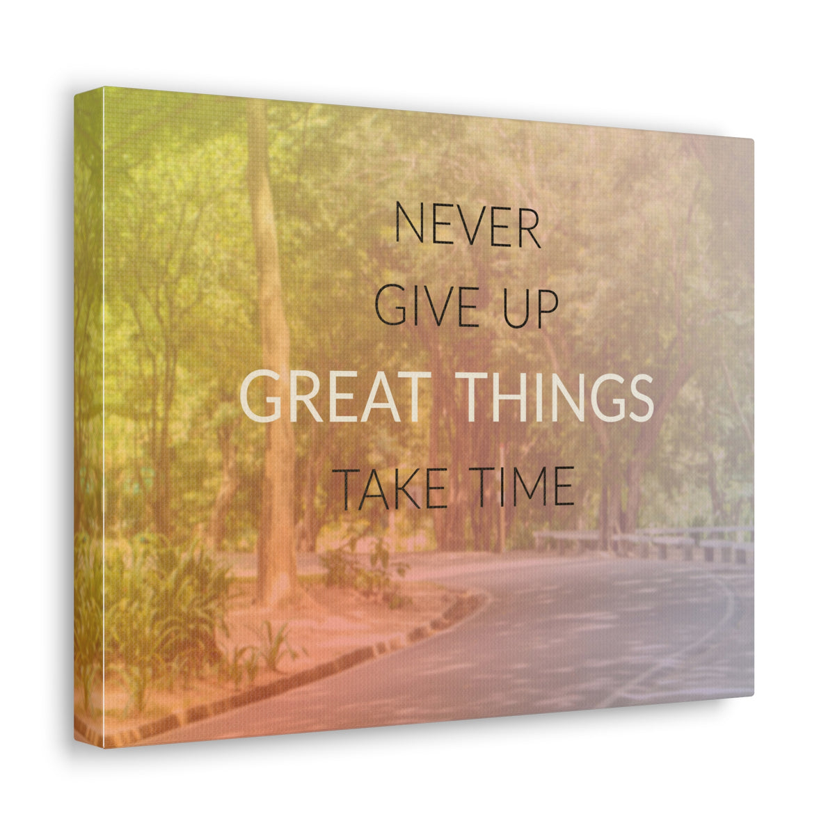 Inspirational Quote Canvas Never Give Up Motivational Print Ready to Hang Artwork-Express Your Love Gifts
