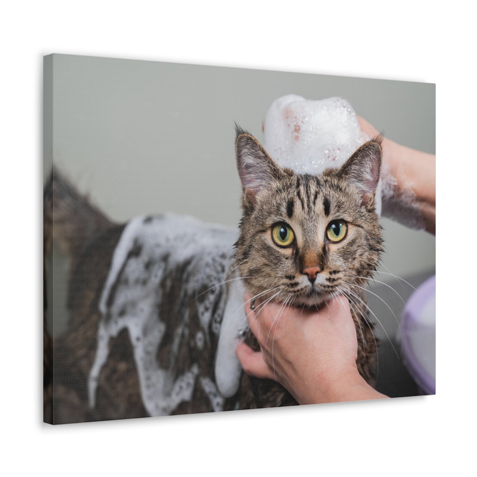 Cute Tabby Gray Cat Bathee Canvas Wall Art for Home Decor Ready-to-Hang-Express Your Love Gifts