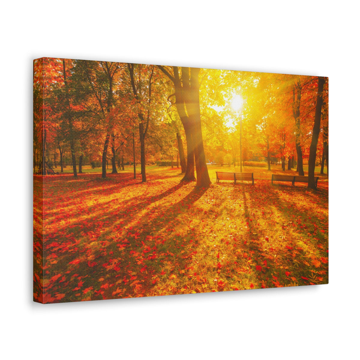 Sunrise Autumn Park Nature Wilderness Photography Canvas Wall Art for Home Decor Ready-to-Hang-Express Your Love Gifts