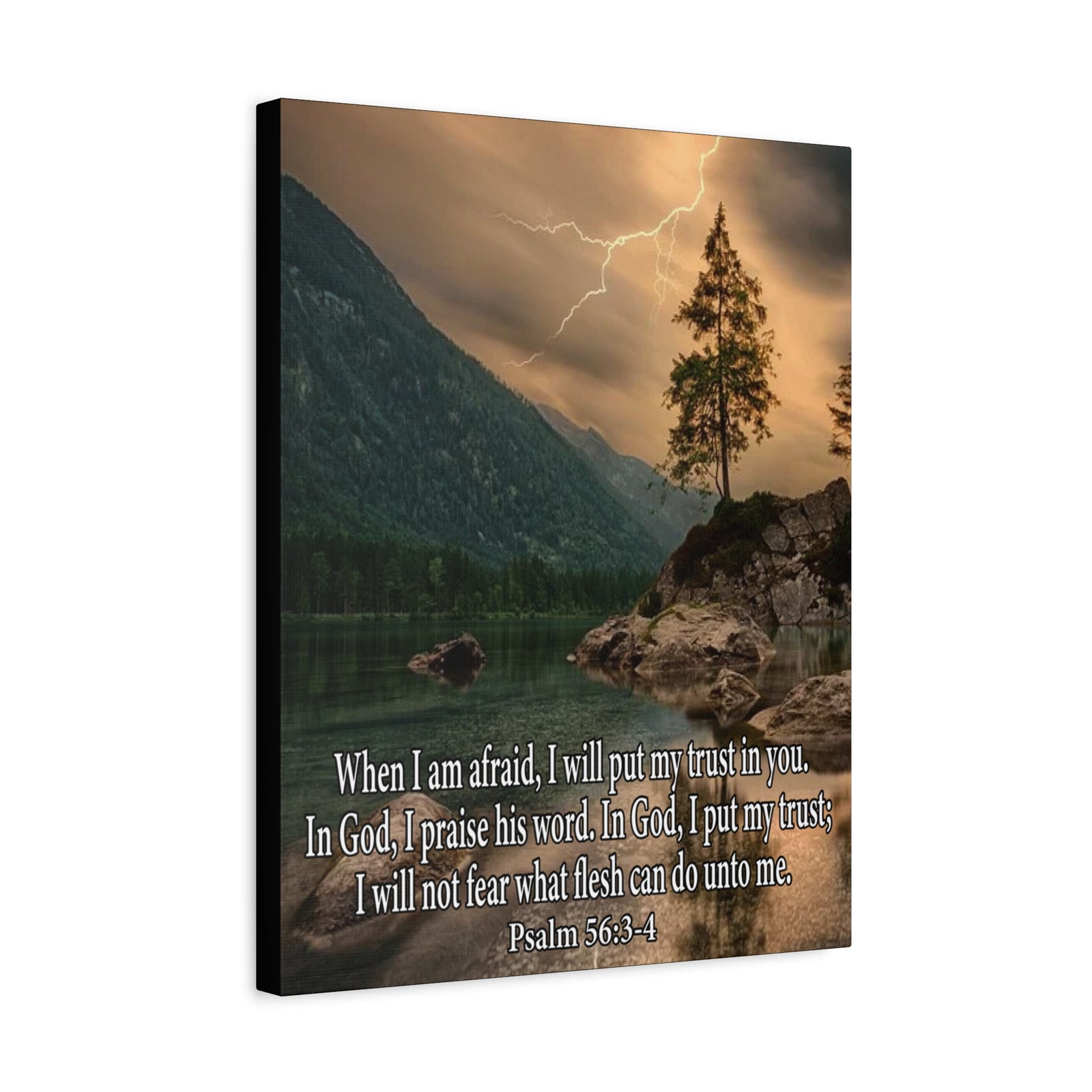 Scripture Canvas I Put My Trust in You Psalm 56:3-4 Christian Wall Art Bible Verse Print Ready to Hang-Express Your Love Gifts