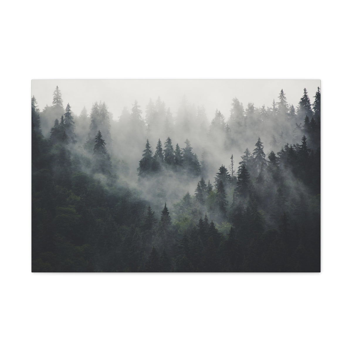 Misty Pine Tree Green Forest Nature Wilderness Photography Canvas Wall Art for Home Decor Ready-to-Hang-Express Your Love Gifts