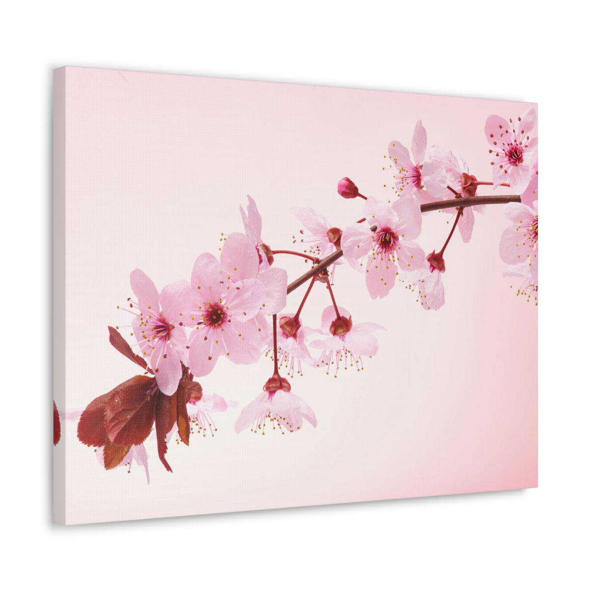 Single Cherry Blossom Forest Floral Nature Photography Canvas Wall Art for Home Decor Ready-to-Hang-Express Your Love Gifts
