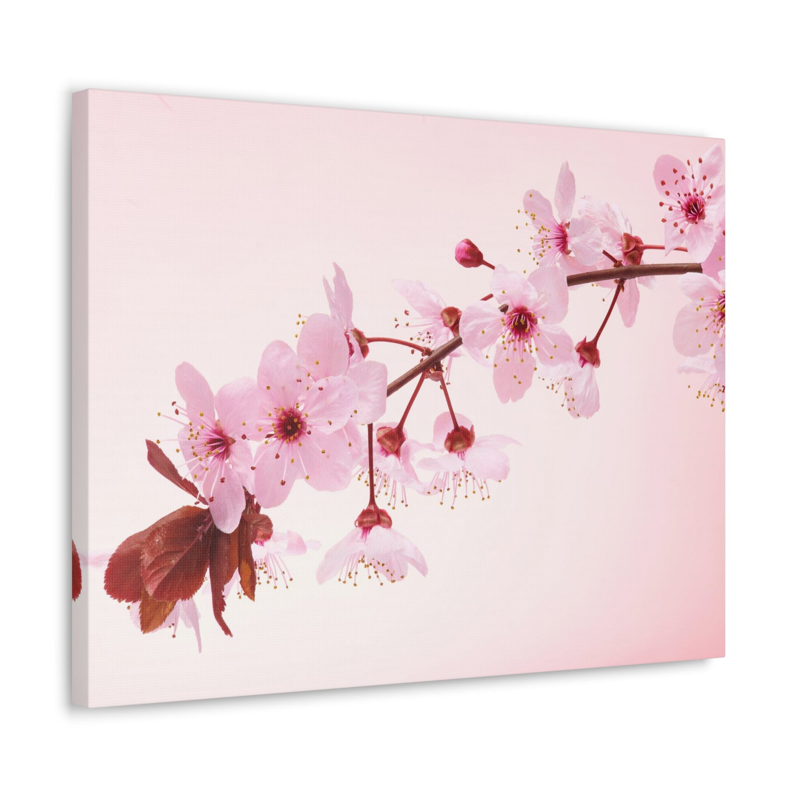 Single Cherry Blossom Forest Floral Nature Photography Canvas Wall Art for Home Decor Ready-to-Hang-Express Your Love Gifts