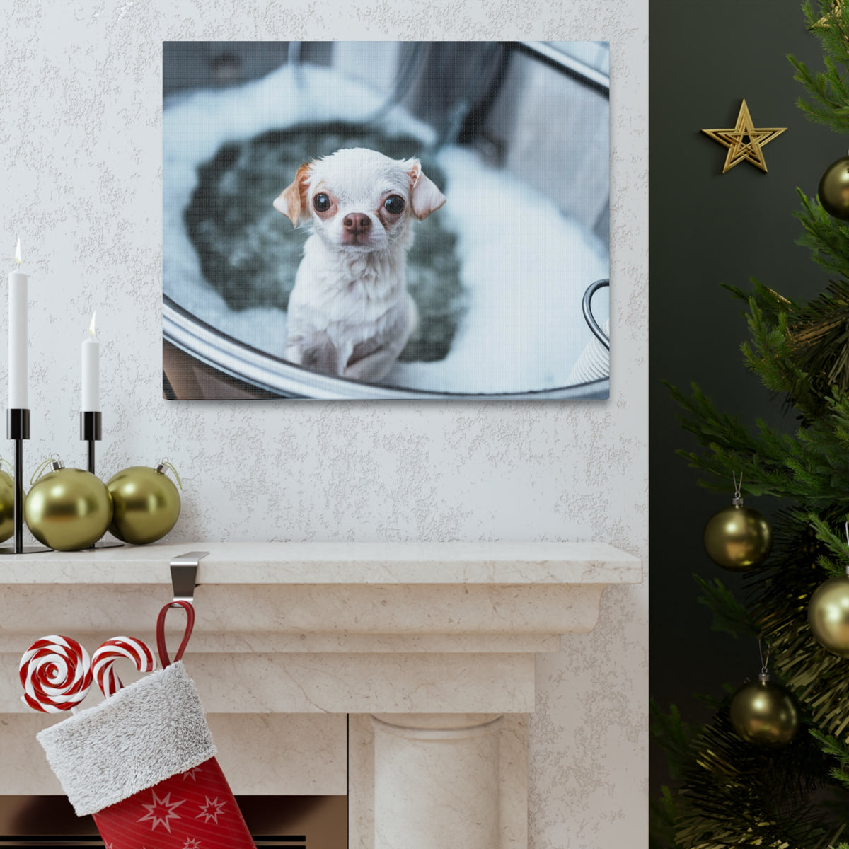 Cute Chihuahua Bathee Canvas Wall Art for Home Decor Ready-to-Hang-Express Your Love Gifts