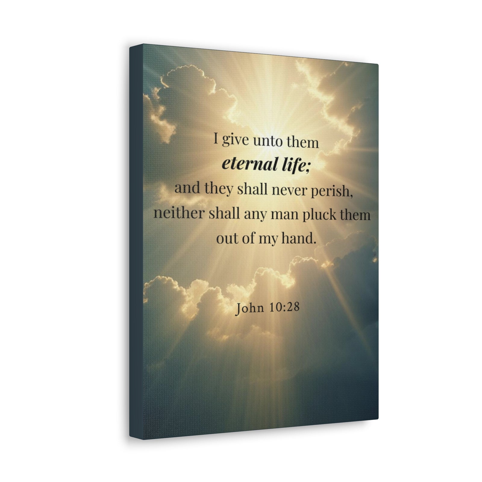 Scripture Walls John 10:28 Eternal Assurance Bible Verse Canvas Christian Wall Art Ready to Hang Unframed-Express Your Love Gifts