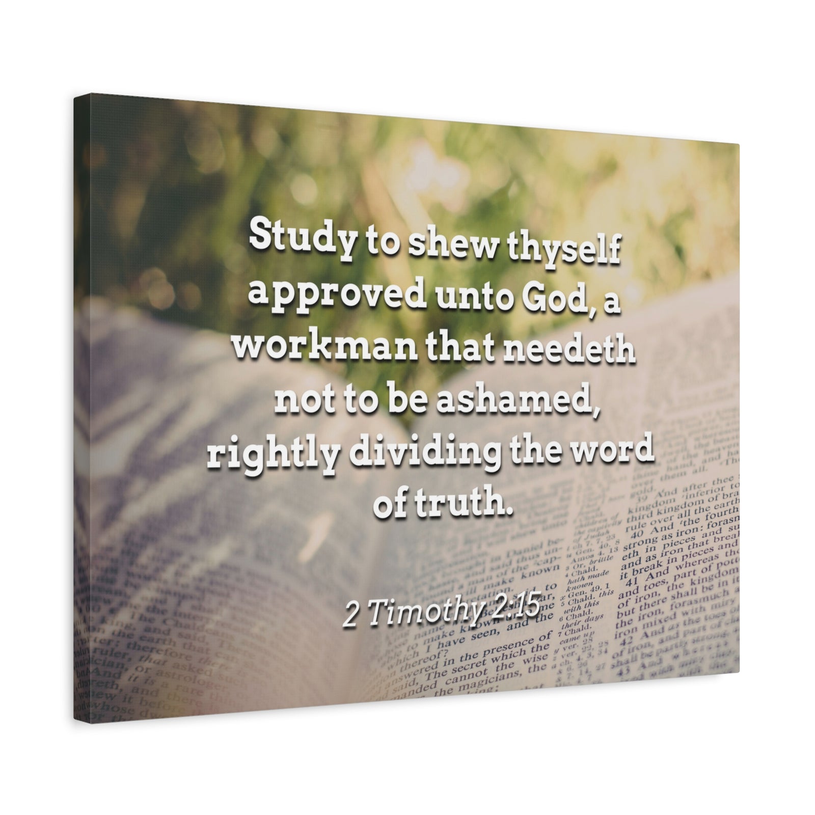 Scripture Canvas Word Of Truth 2 Timothy 2:15 Christian Wall Art Bible Verse Print Ready to Hang-Express Your Love Gifts