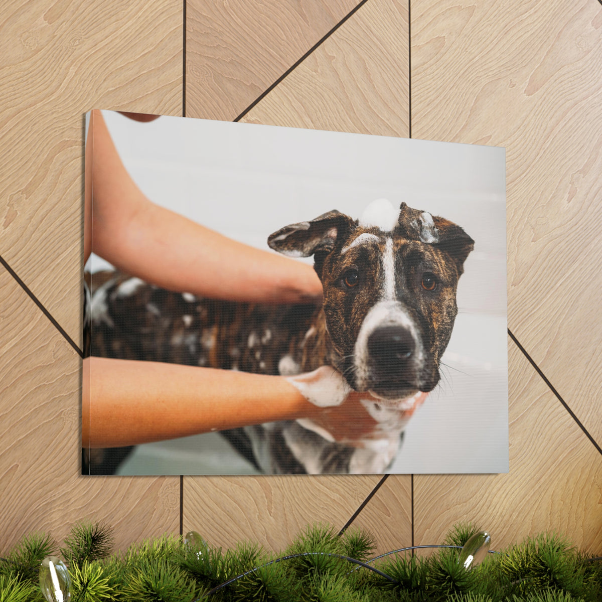 Cute American Staffordshire Terrier Bathee Canvas Wall Art for Home Decor Ready-to-Hang-Express Your Love Gifts