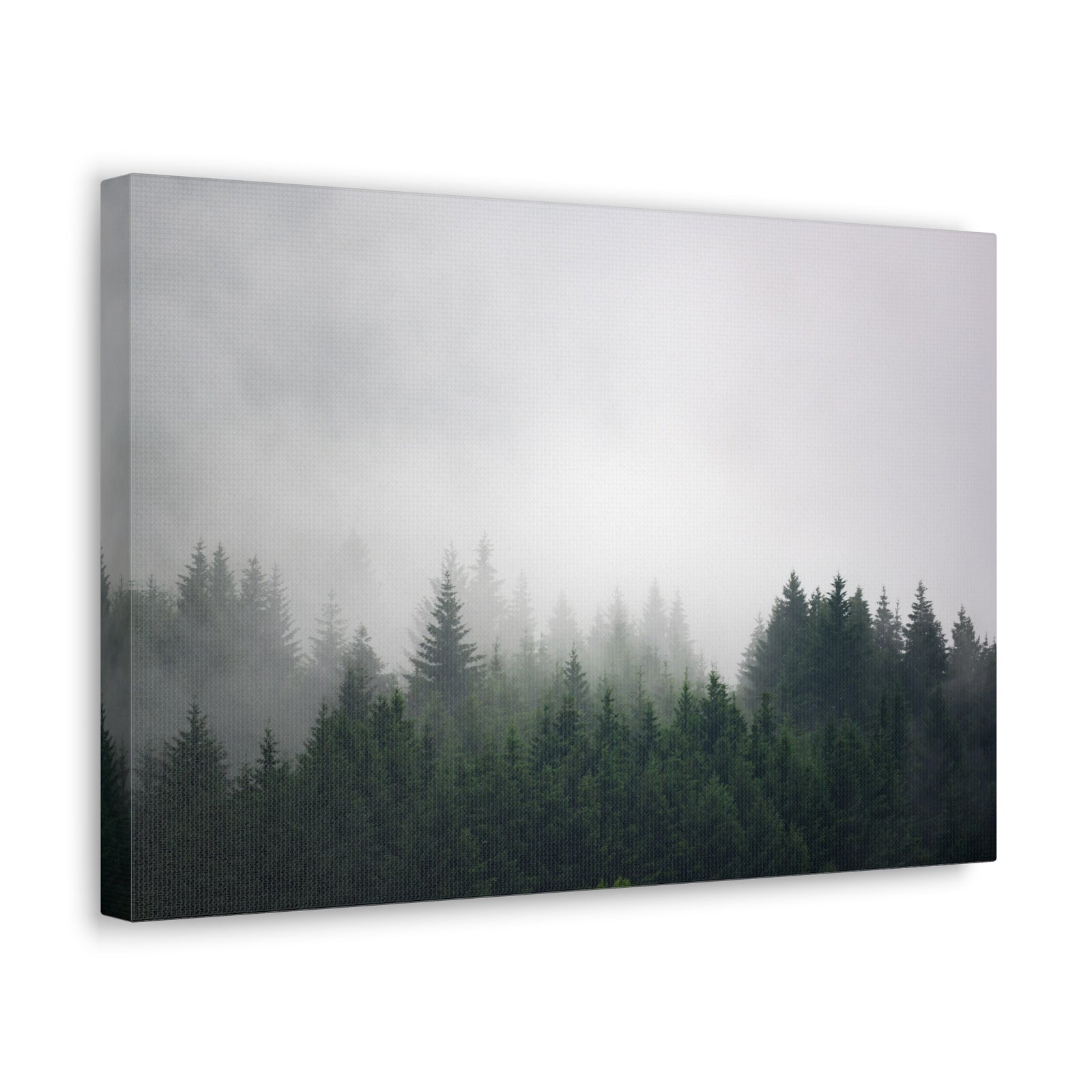 Foggy Dark Forest Nature Wilderness Photography Canvas Wall Art for Home Decor Ready-to-Hang-Express Your Love Gifts
