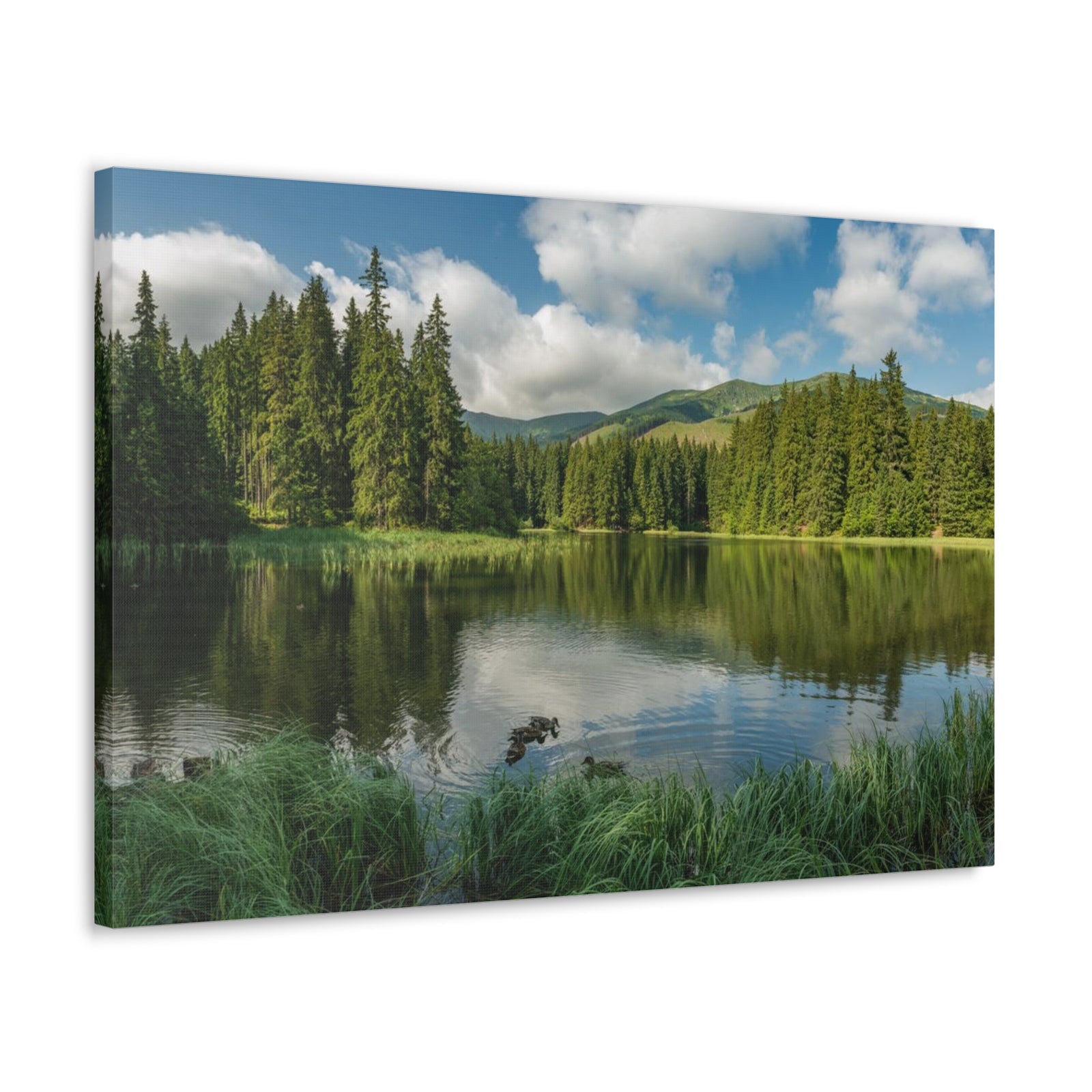 Lake Reflection Green Forest Nature Wilderness Photography Canvas Wall Art for Home Decor Ready-to-Hang-Express Your Love Gifts