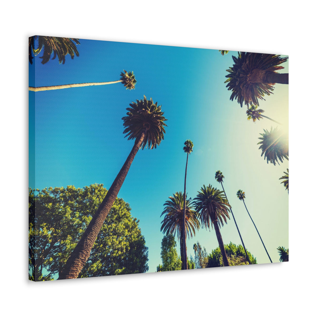 Los Angeles Sky Palm Trees Nature Wilderness Photography Canvas Wall Art for Home Decor Ready-to-Hang-Express Your Love Gifts