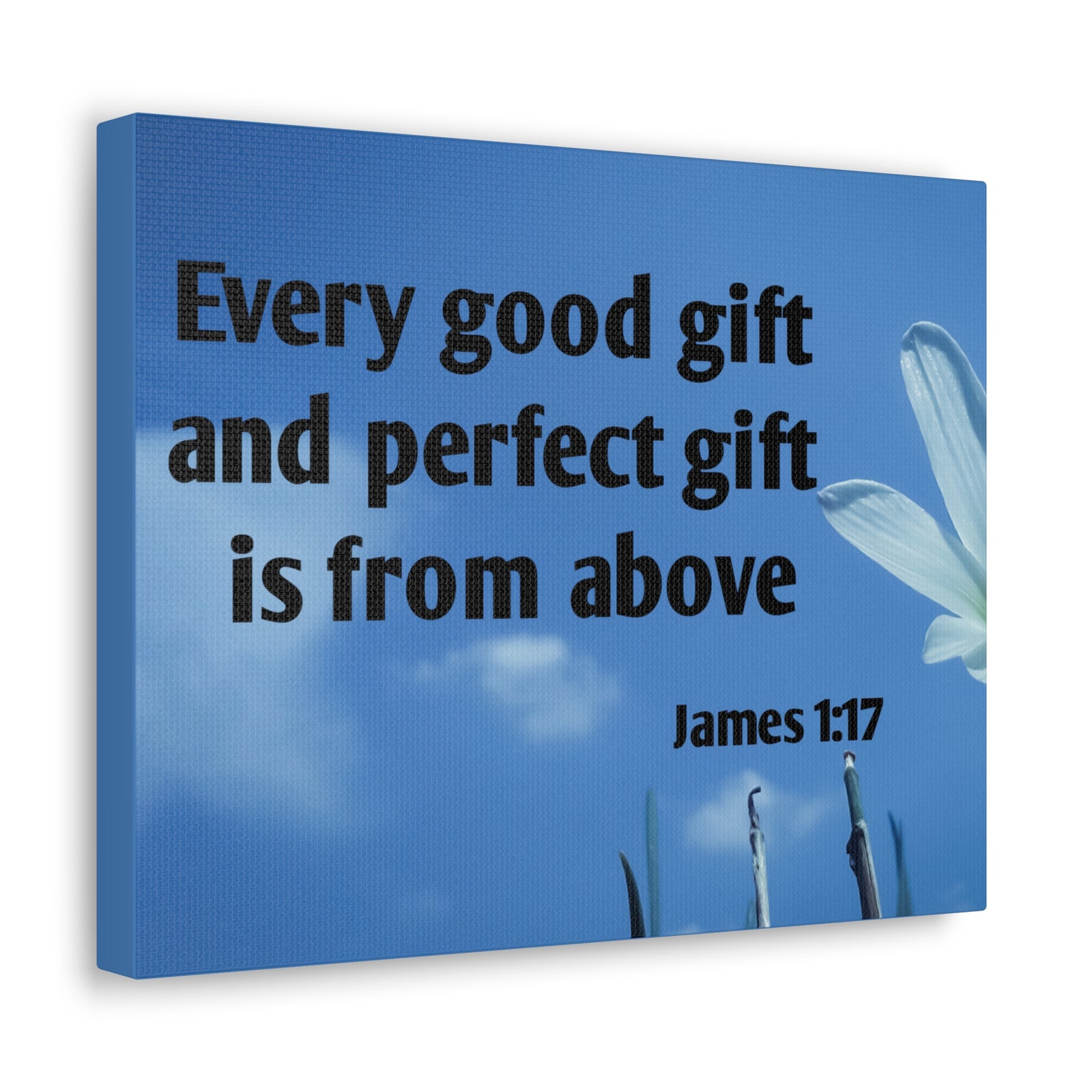Scripture Canvas Perfect Gift James 1:17 Christian Wall Art Bible Verse Print Ready to Hang-Express Your Love Gifts