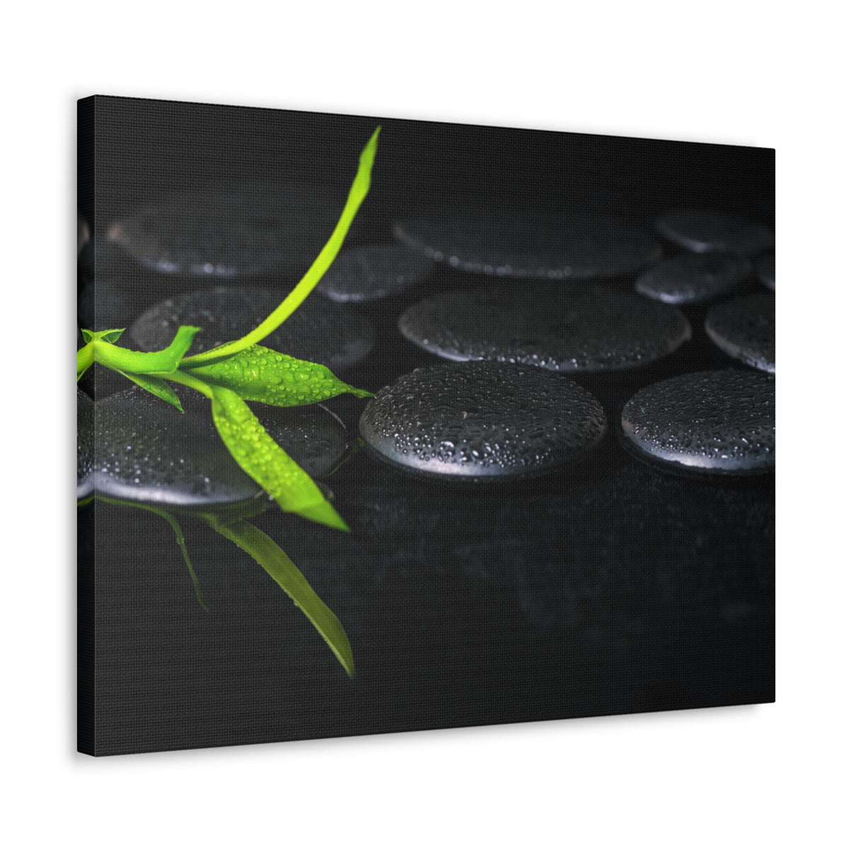 Green Bamboo on Stones Forest Floral Nature Photography Canvas Wall Art for Home Decor Ready-to-Hang-Express Your Love Gifts
