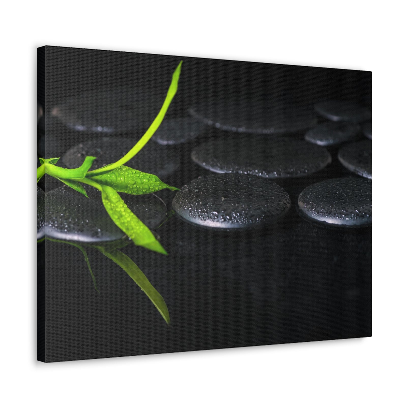 Green Bamboo on Stones Forest Floral Nature Photography Canvas Wall Art for Home Decor Ready-to-Hang-Express Your Love Gifts