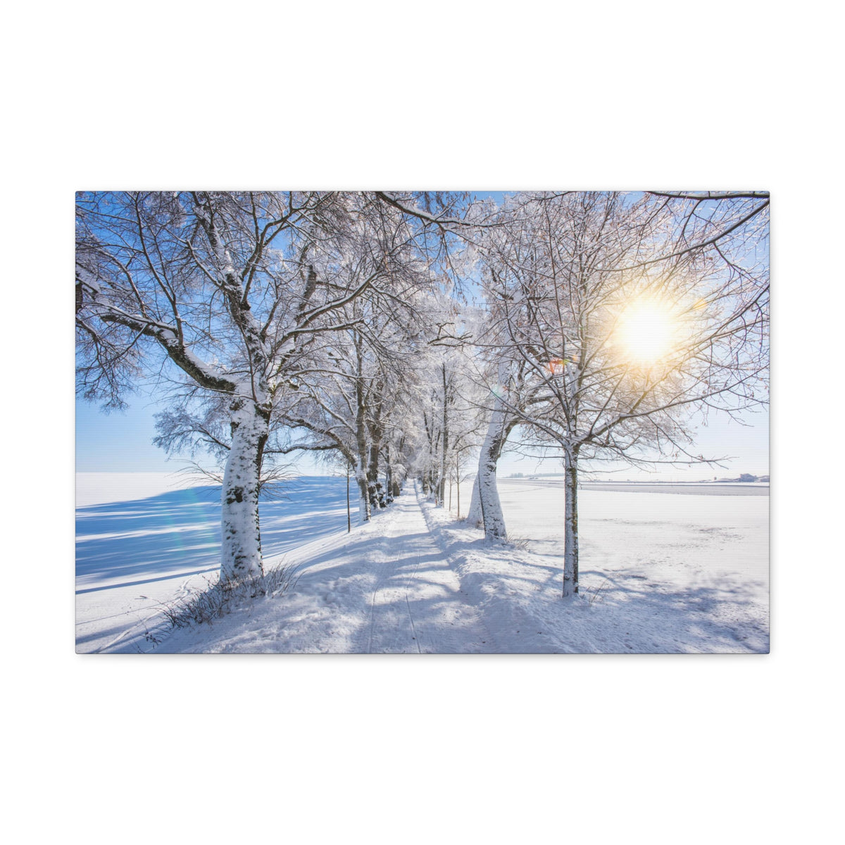 Small Footpath In Winter Through Trees Canvas Wall Art for Home Decor Ready-to-Hang-Express Your Love Gifts