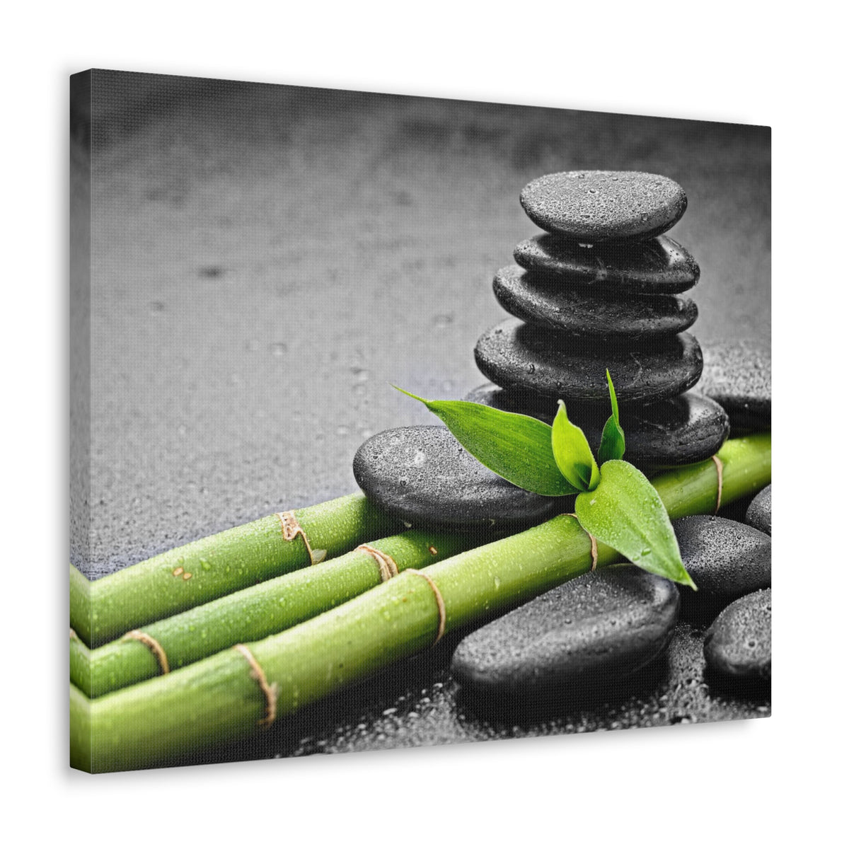 Bamboo on the Black Forest Floral Nature Photography Canvas Wall Art for Home Decor Ready-to-Hang-Express Your Love Gifts