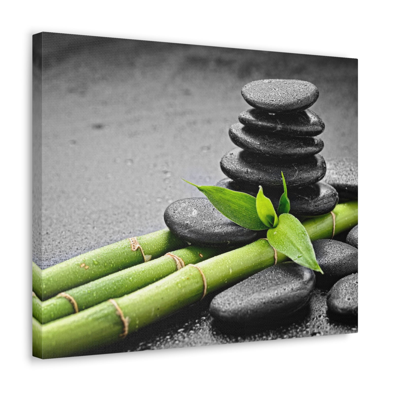 Bamboo on the Black Forest Floral Nature Photography Canvas Wall Art for Home Decor Ready-to-Hang-Express Your Love Gifts