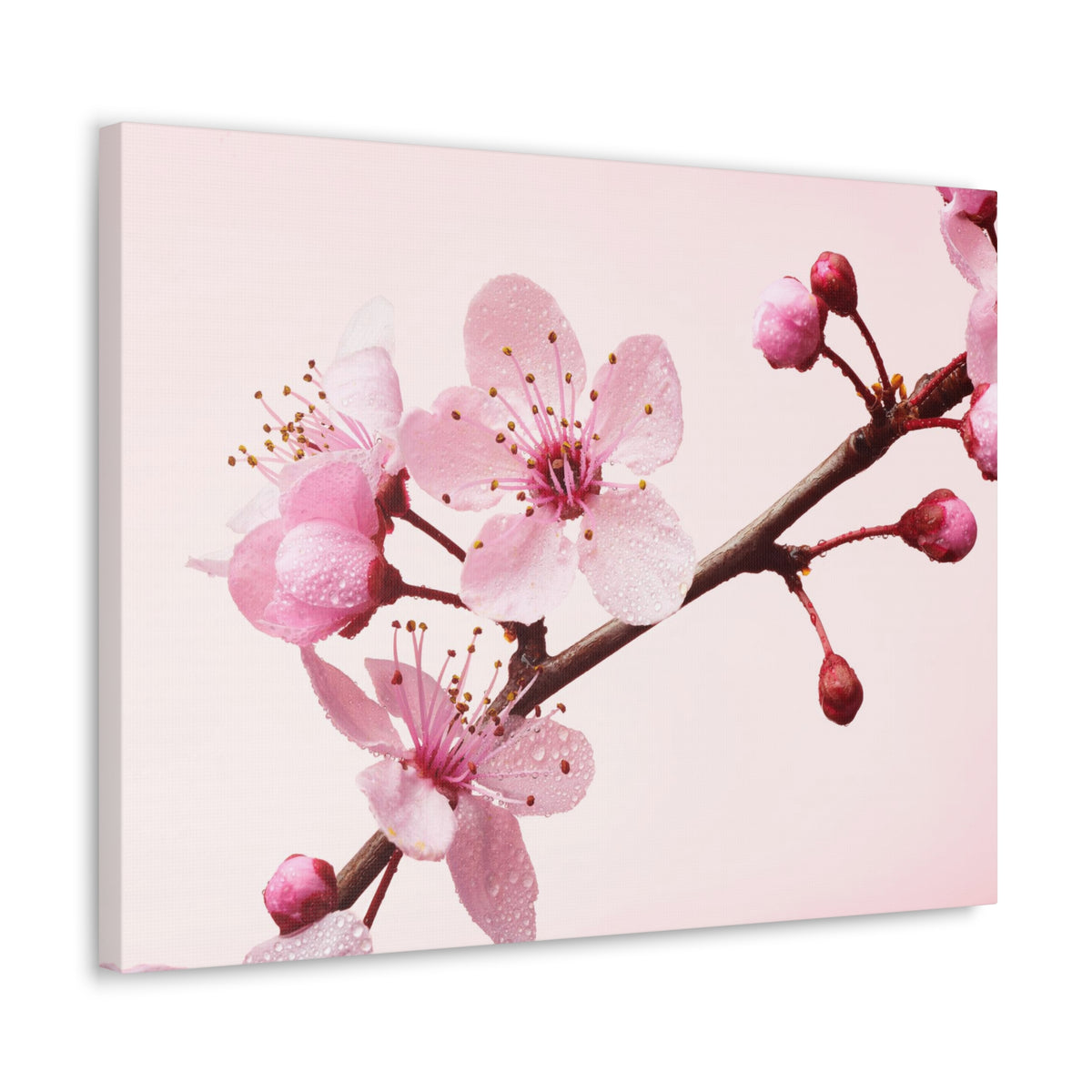 Cherry Blossom Branch Forest Floral Nature Photography Canvas Wall Art for Home Decor Ready-to-Hang-Express Your Love Gifts