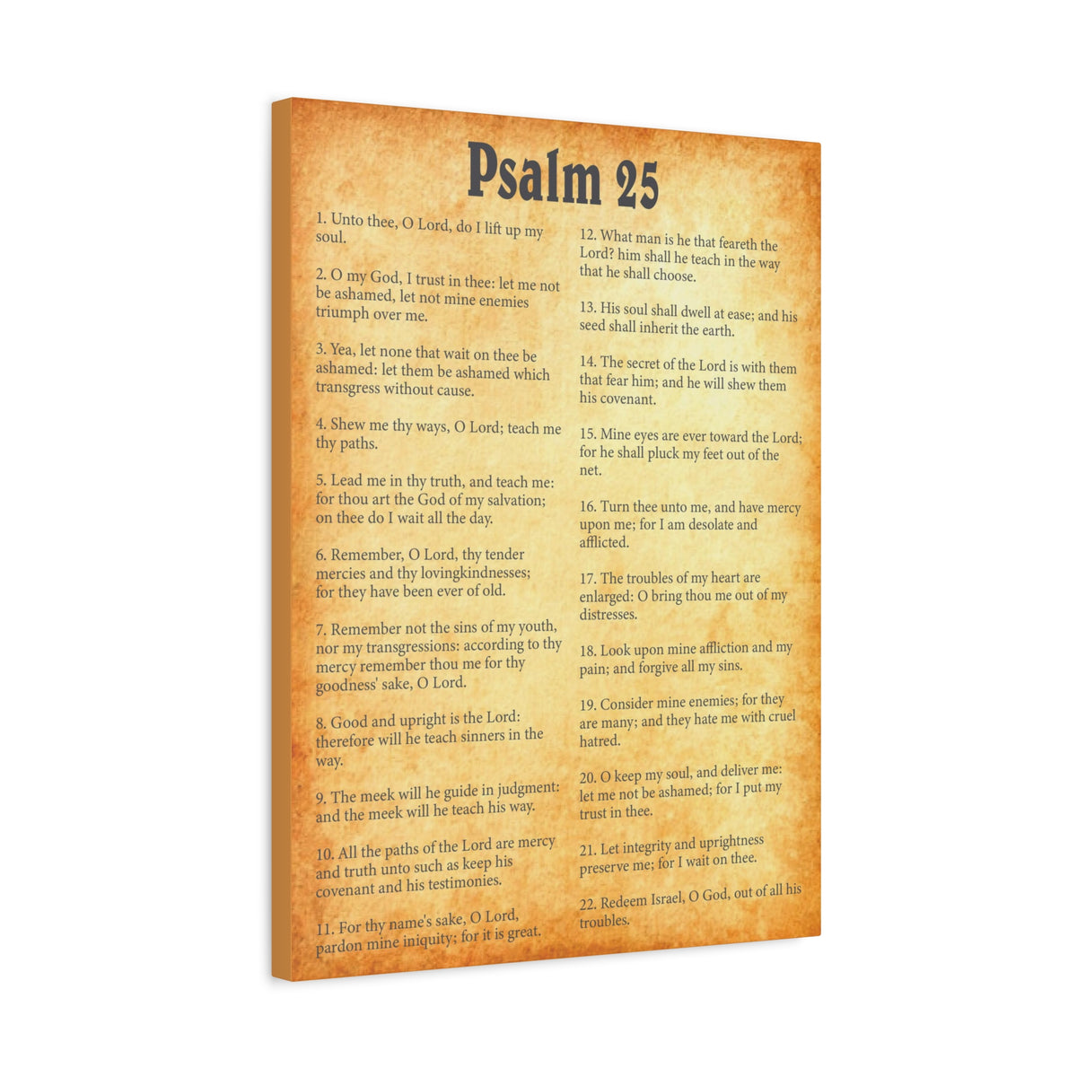Scripture Walls Psalm 25 Gold Bible Chapter Canvas Christian Wall Art Ready to Hang-Express Your Love Gifts