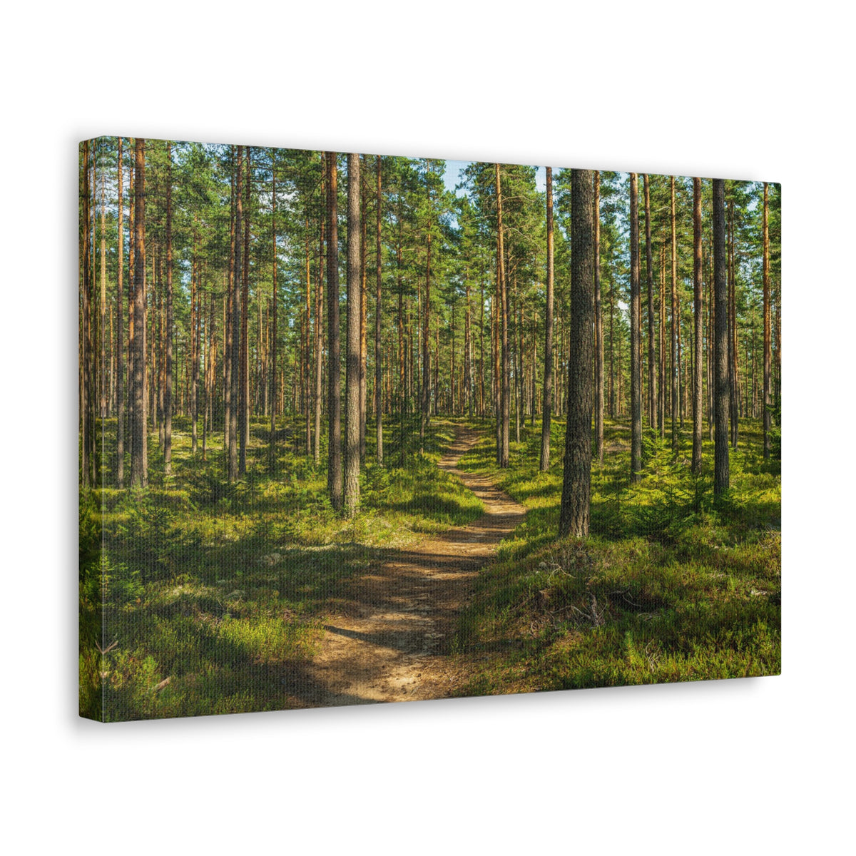 Green Forest Tree Path Nature Wilderness Photography Canvas Wall Art for Home Decor Ready-to-Hang-Express Your Love Gifts