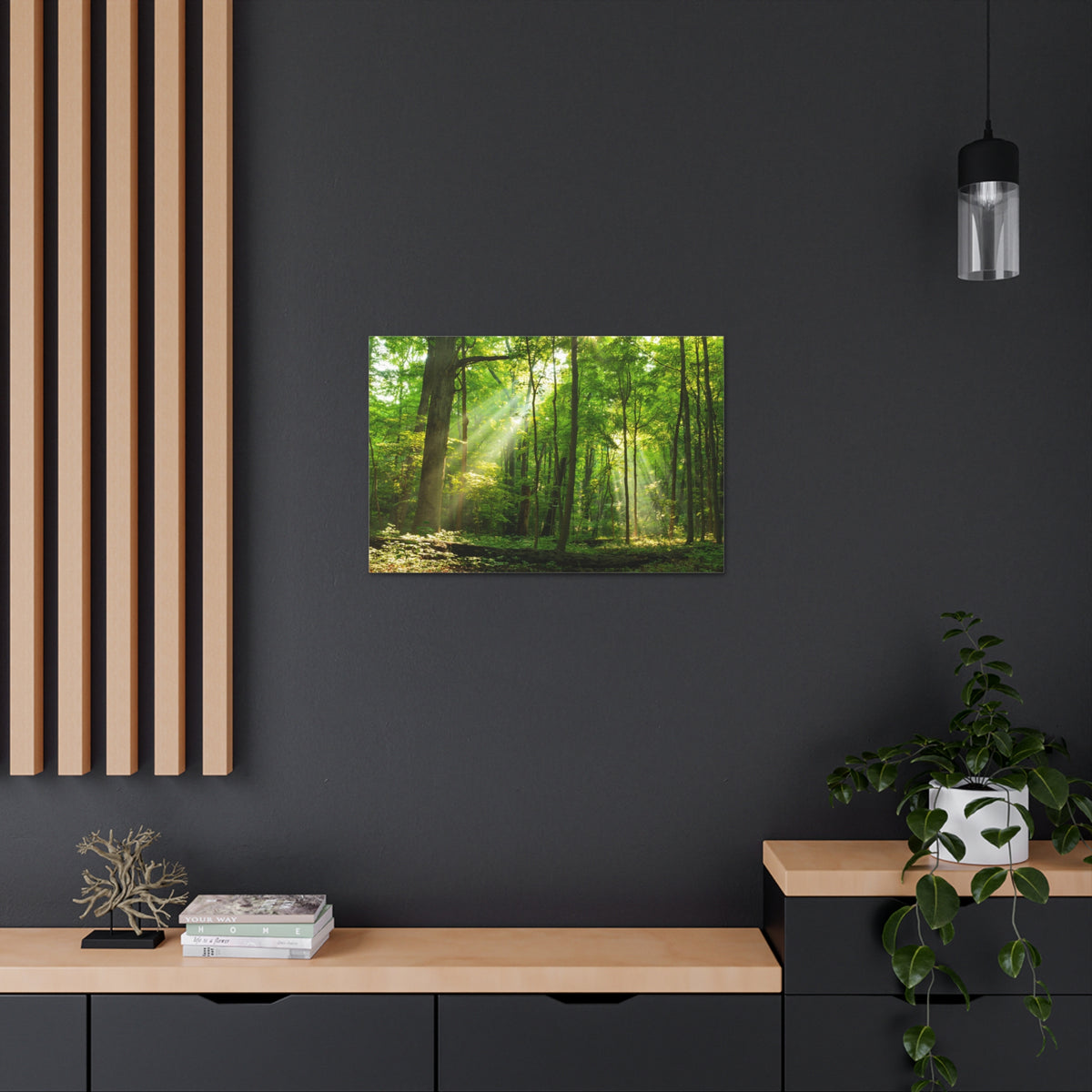 Green Forest Summer Sunlight Nature Wilderness Photography Canvas Wall Art for Home Decor Ready-to-Hang-Express Your Love Gifts