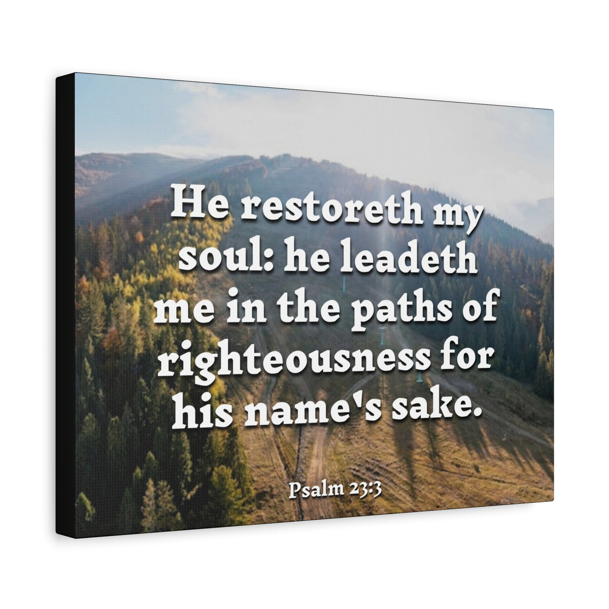 Scripture Canvas Paths Of Righteousness Psalm 23:3 Christian Wall Art Bible Verse Print Ready to Hang