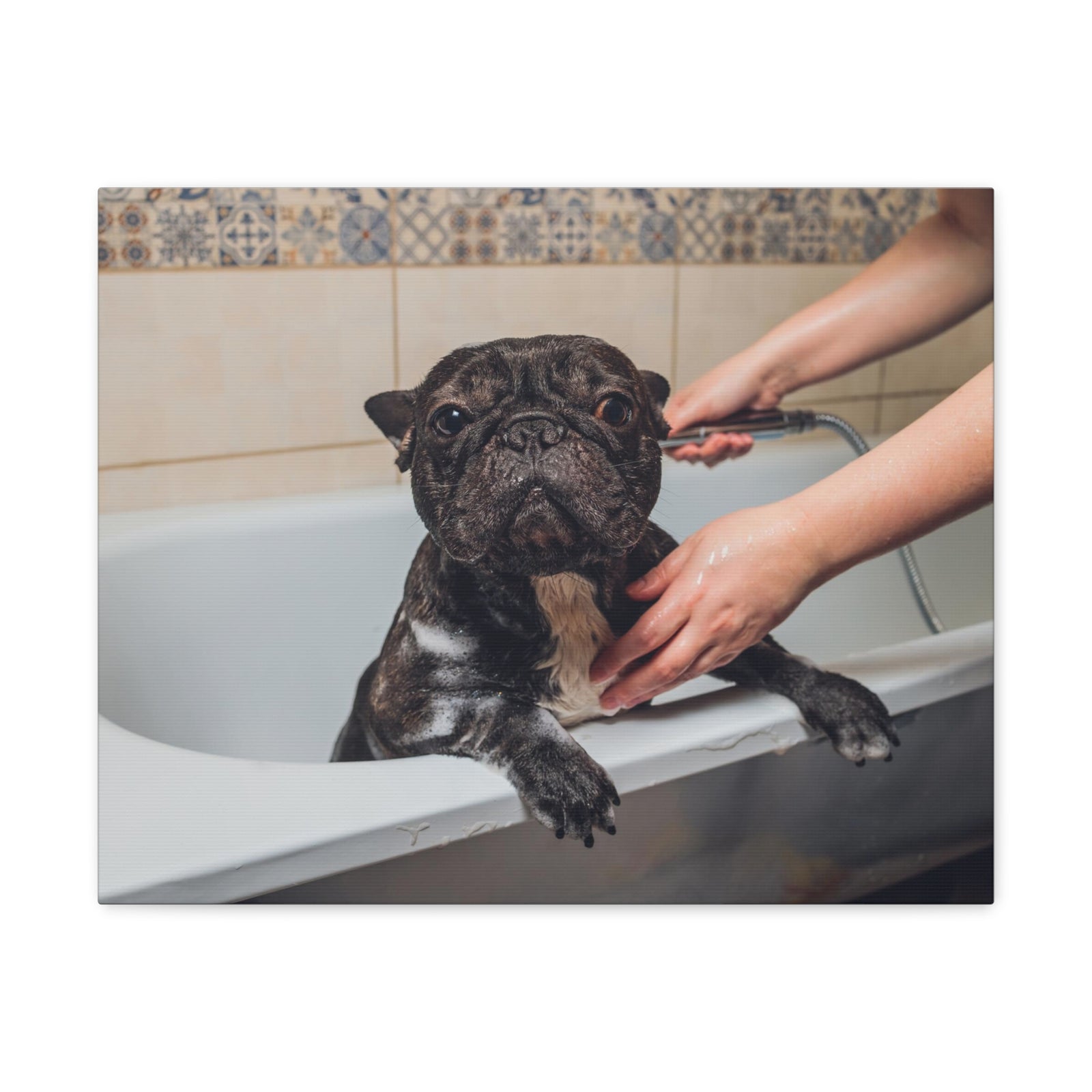 Cute French Bulldog Bath Canvas Wall Art for Home Decor Ready-to-Hang-Express Your Love Gifts