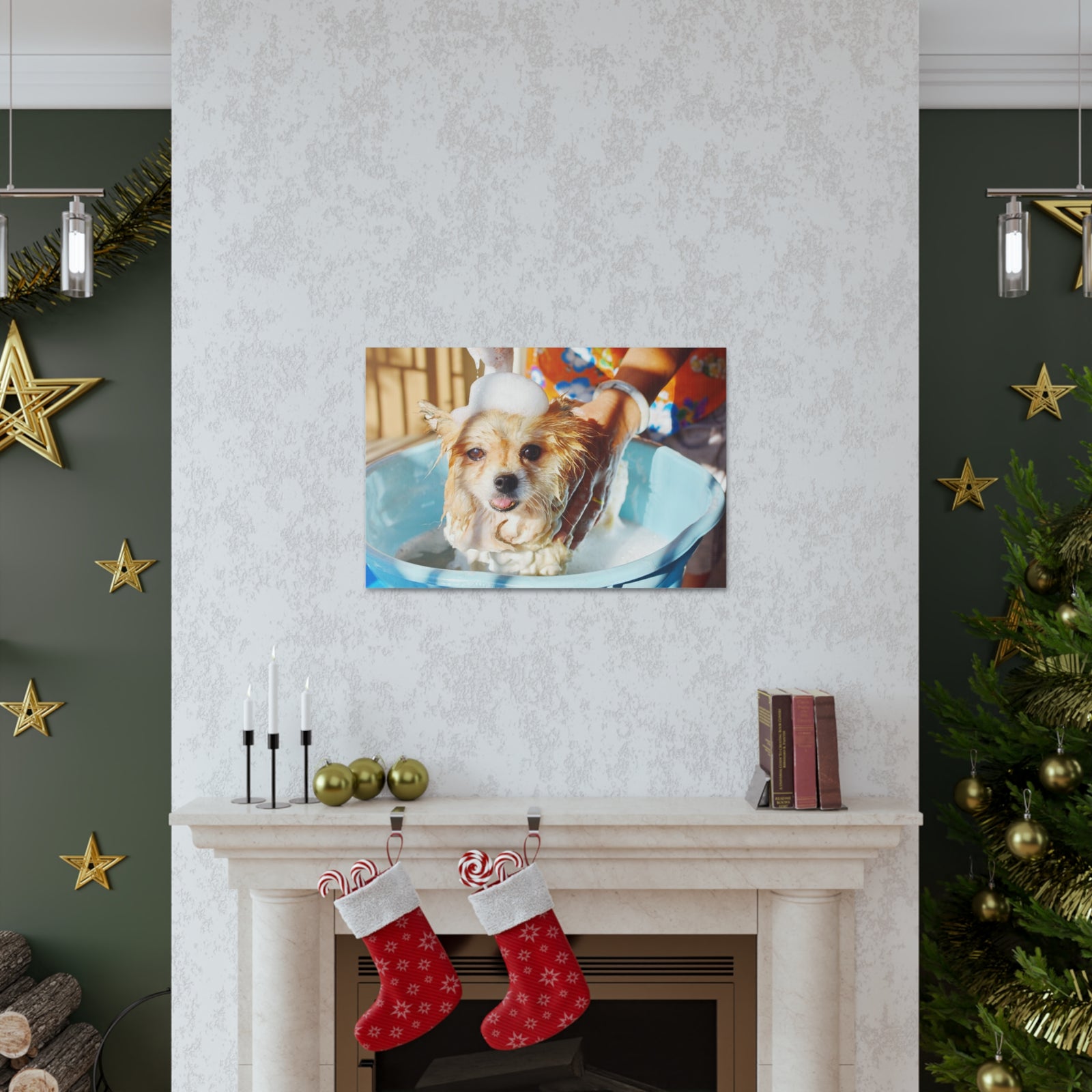 Cute Pomeranian Bathee Canvas Wall Art for Home Decor Ready-to-Hang-Express Your Love Gifts