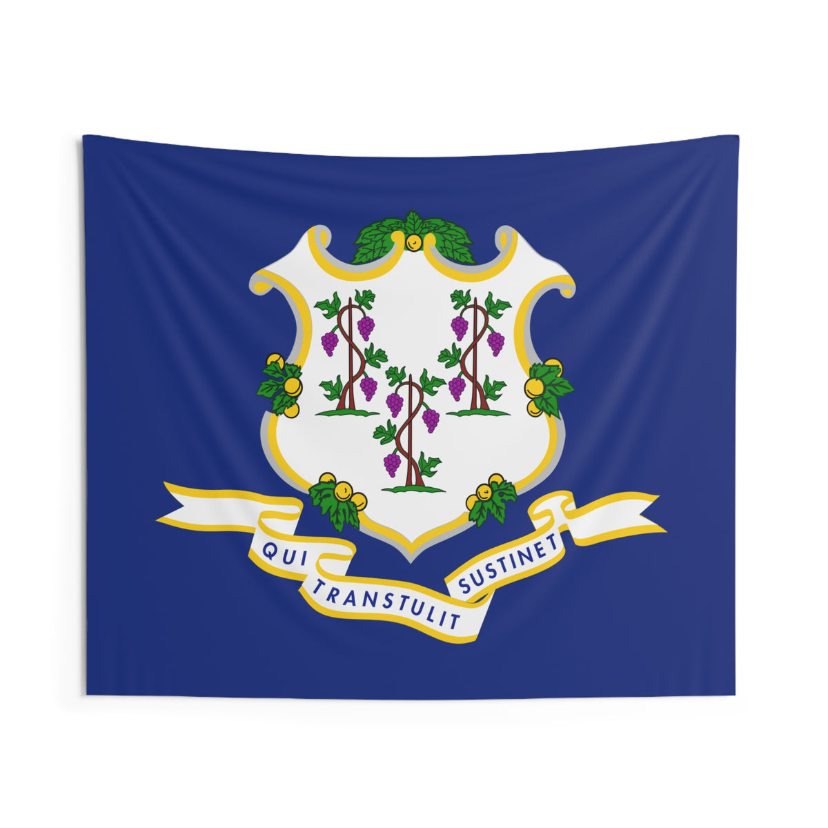 Connecticut State Flag Wall Hanging Tapestry-Express Your Love Gifts
