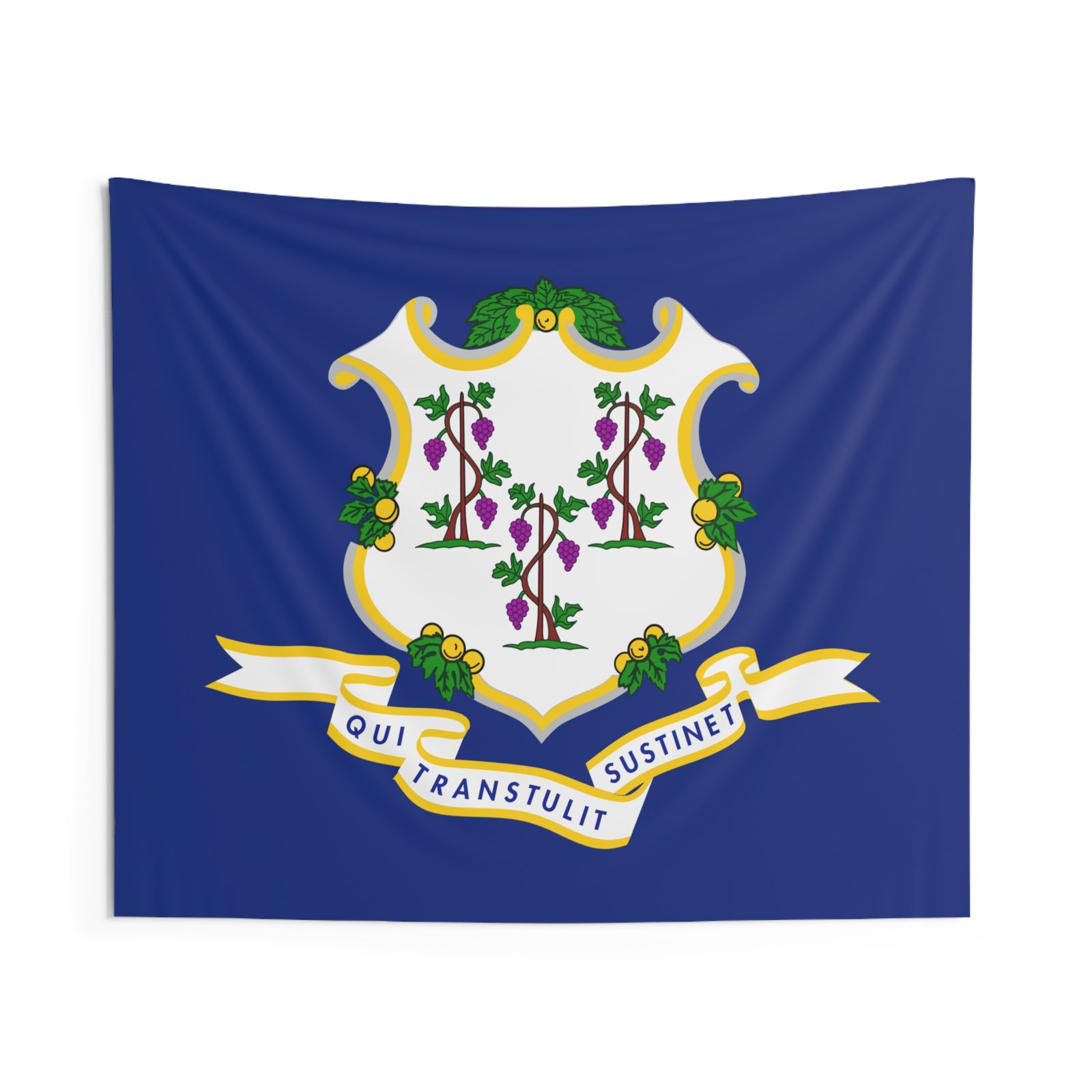 Connecticut State Flag Wall Hanging Tapestry-Express Your Love Gifts