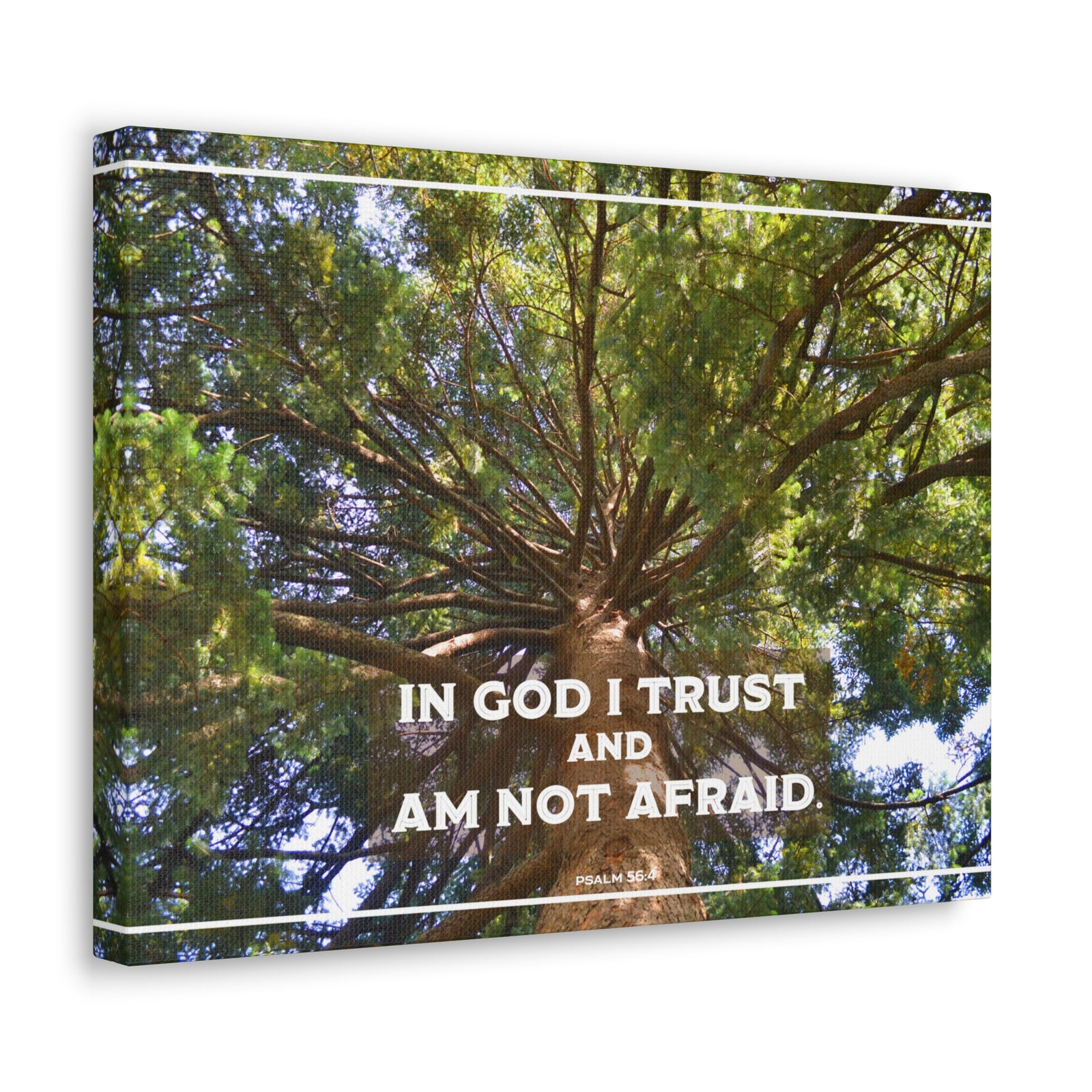 Scripture Walls In God I Trust Psalm 56:4 Bible Verse Canvas Christian Wall Art Ready to Hang-Express Your Love Gifts