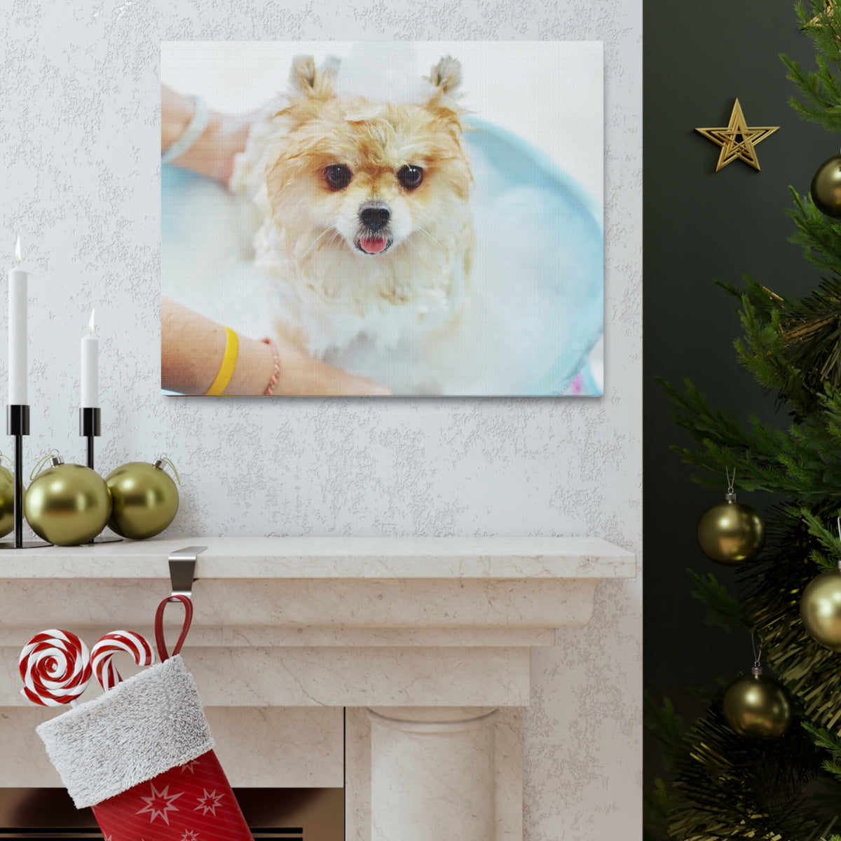 Cute Pomeranian Bath Canvas Wall Art for Home Decor Ready-to-Hang-Express Your Love Gifts