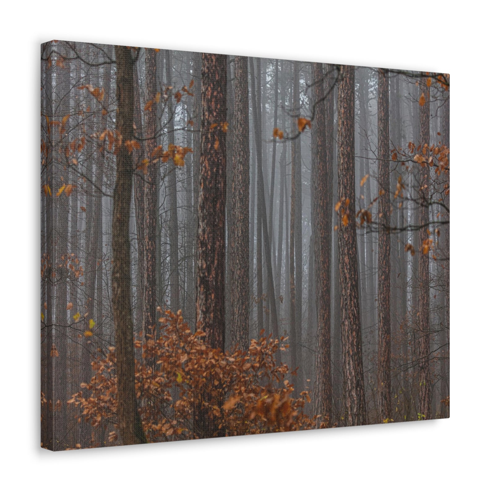 Autumn Forest Misty Orange Leave Nature Wilderness Photography Canvas Wall Art for Home Decor Ready-to-Hang-Express Your Love Gifts
