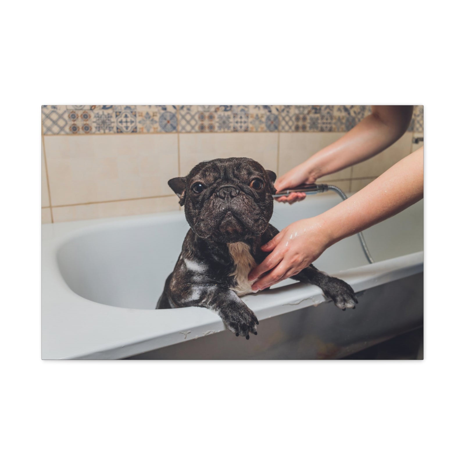 Cute French Bulldog Bath Canvas Wall Art for Home Decor Ready-to-Hang-Express Your Love Gifts