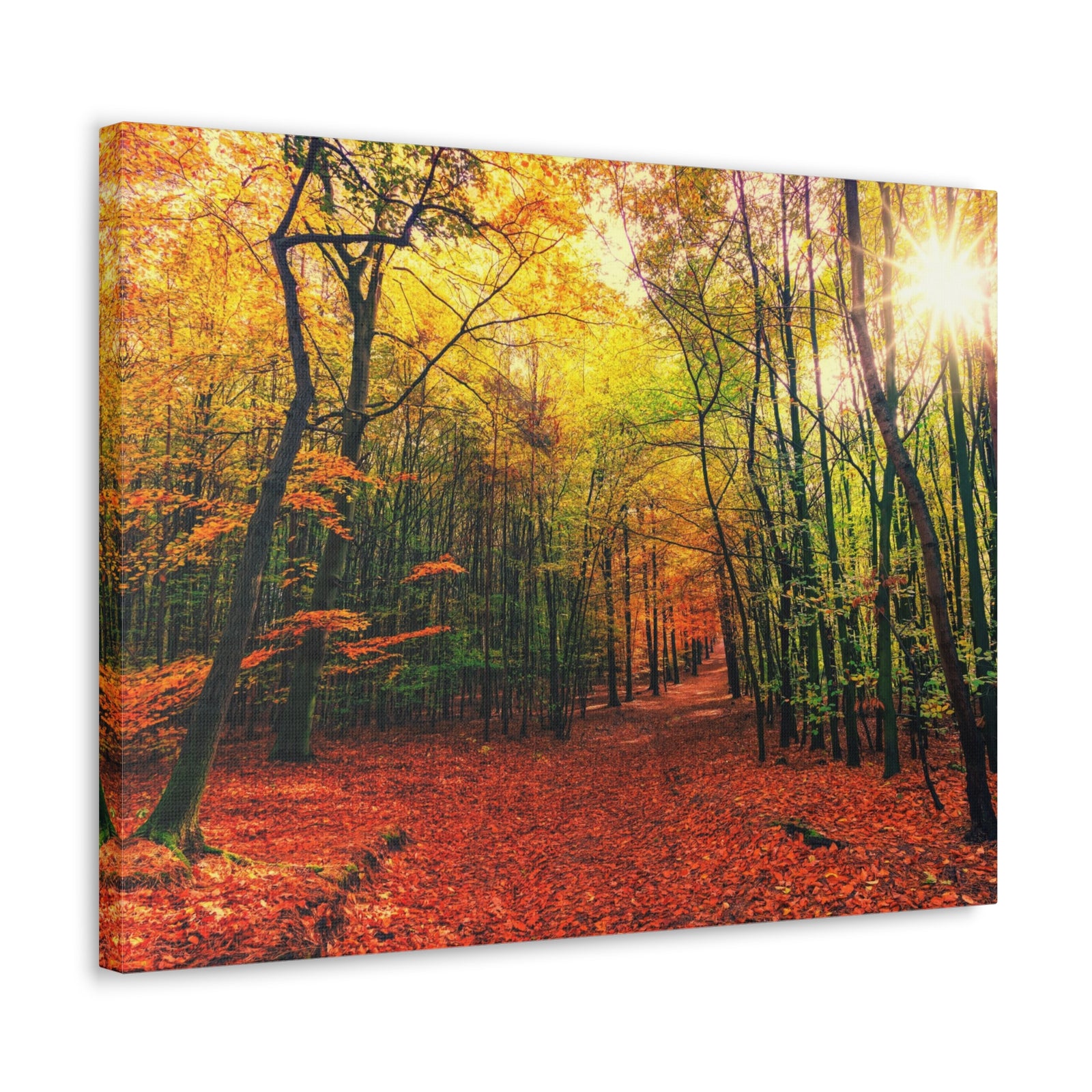 Autumn Forest is Beautiful Forest Floral Nature Photography Canvas Wall Art for Home Decor Ready-to-Hang-Express Your Love Gifts